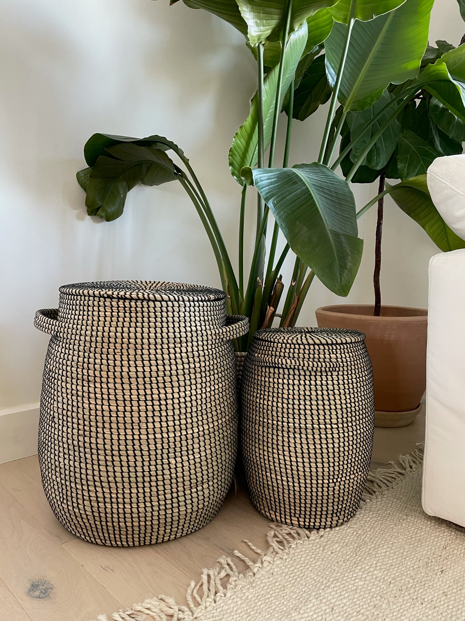 Yara Basket with Lid