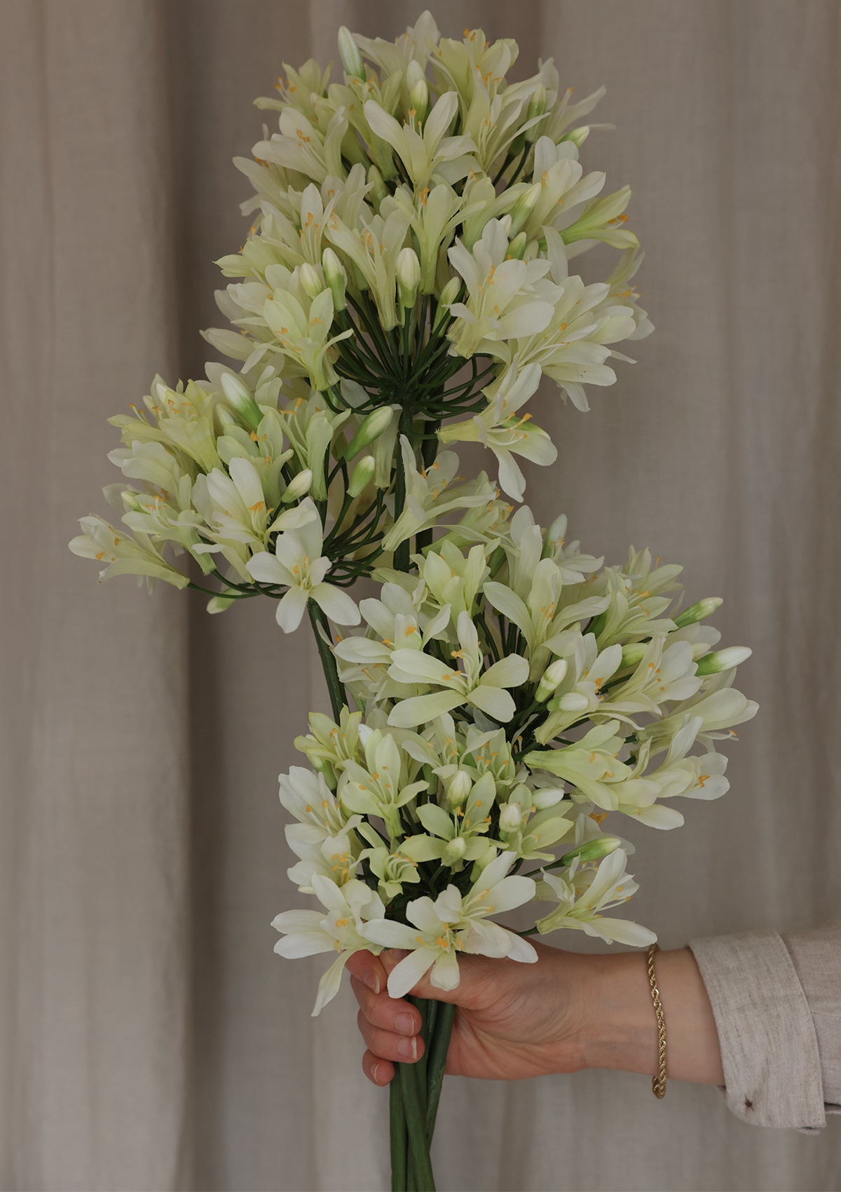 35" Agapanthus Spray