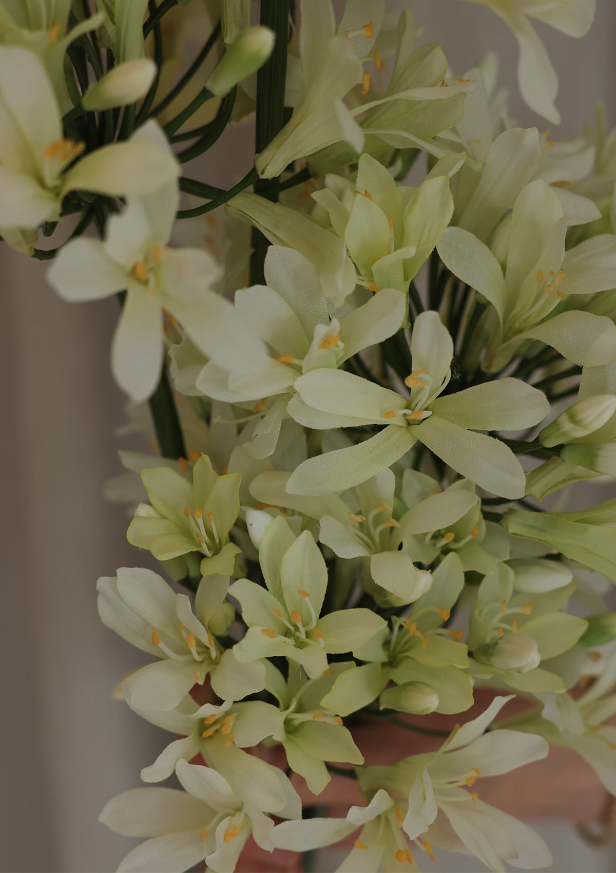 35" Agapanthus Spray