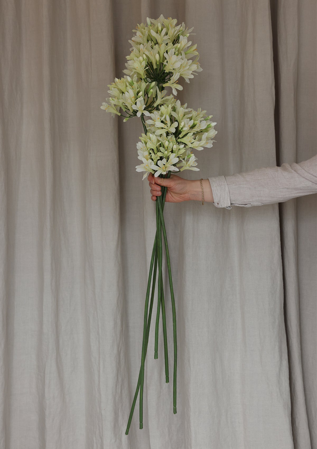 35" Agapanthus Spray