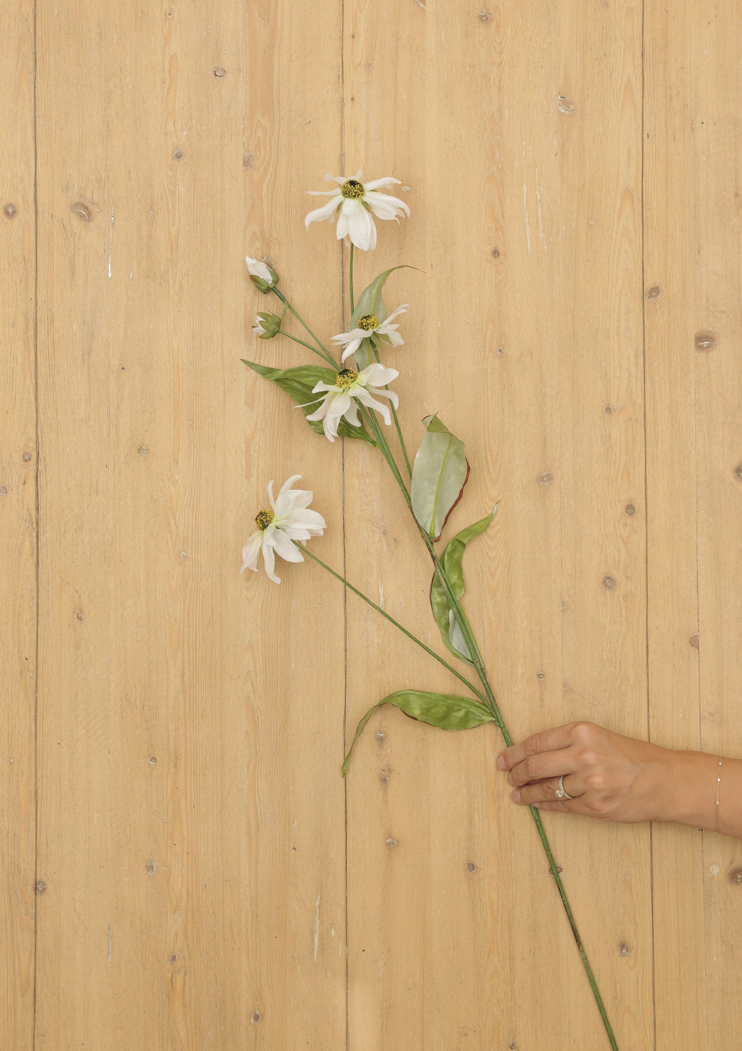 Artificial Wild Cosmos