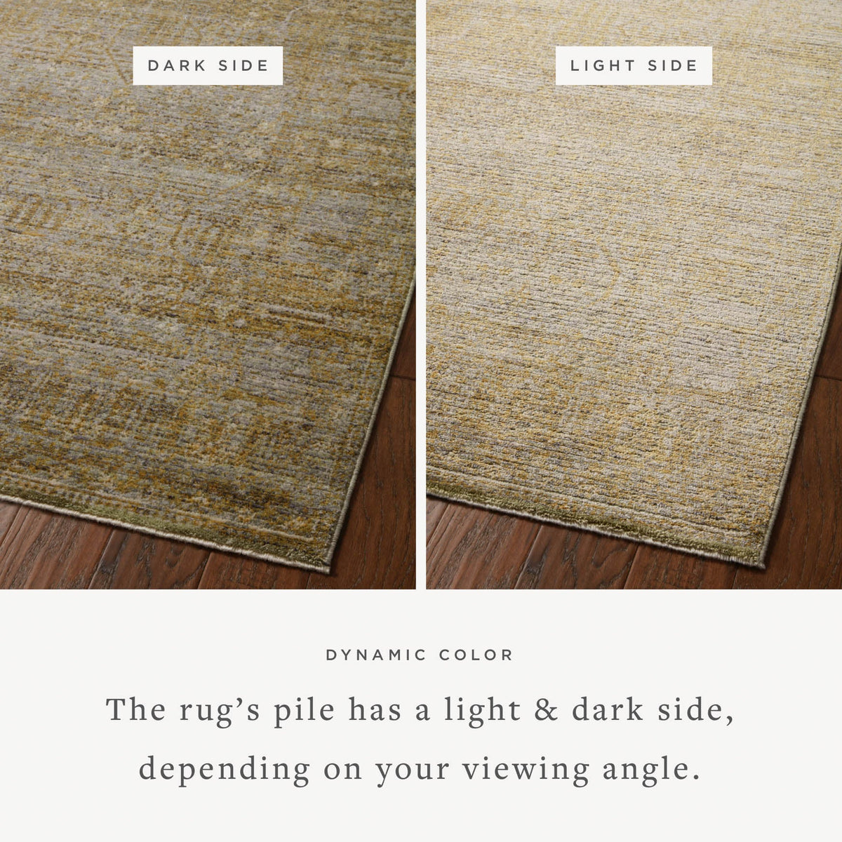 Bradbury Dove/Gold Rug – detail