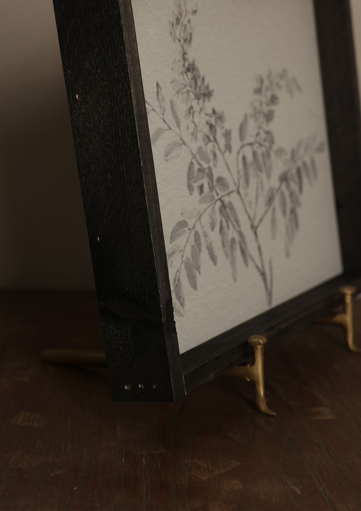 Botanical Framed Print