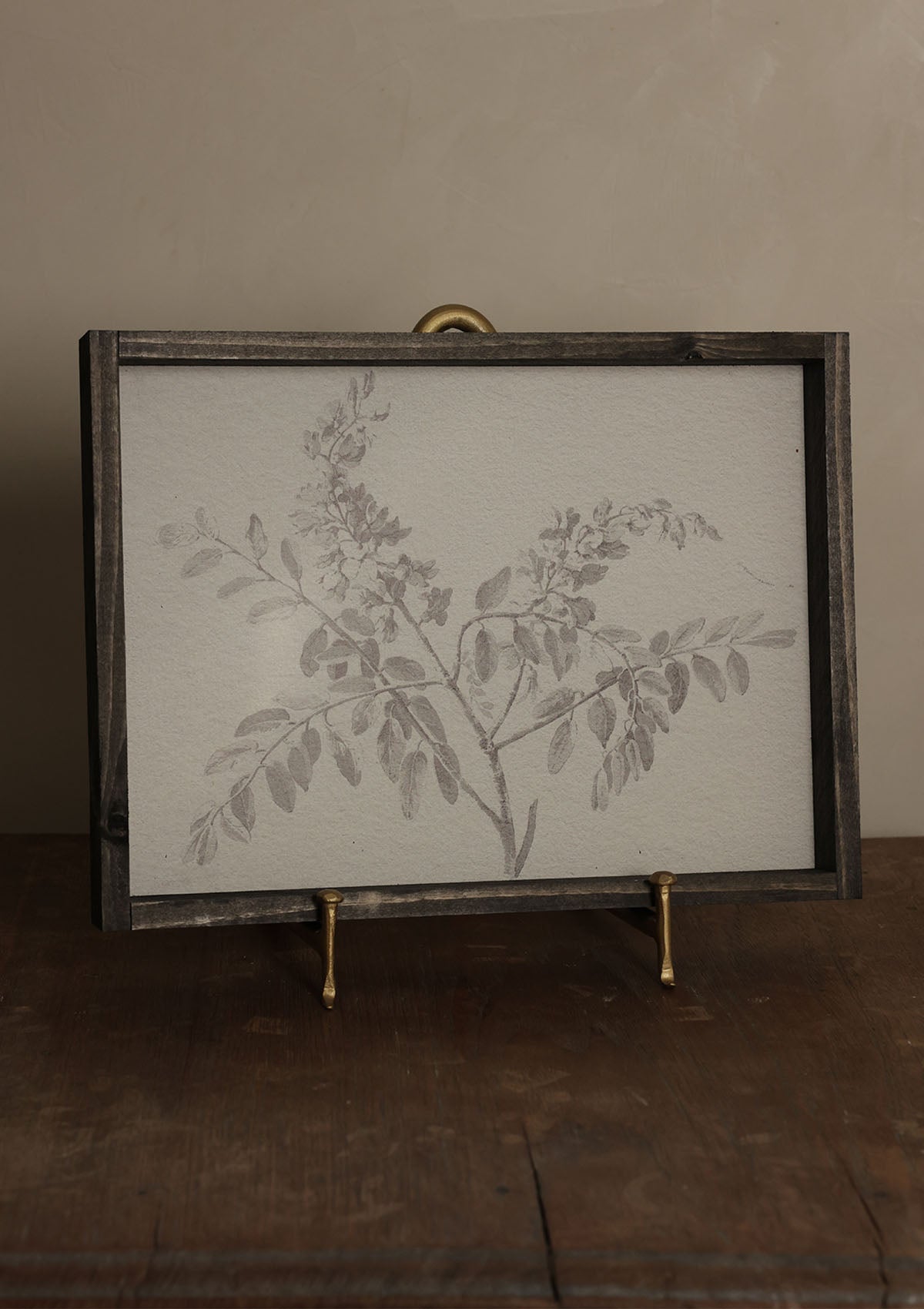 Botanical Framed Print