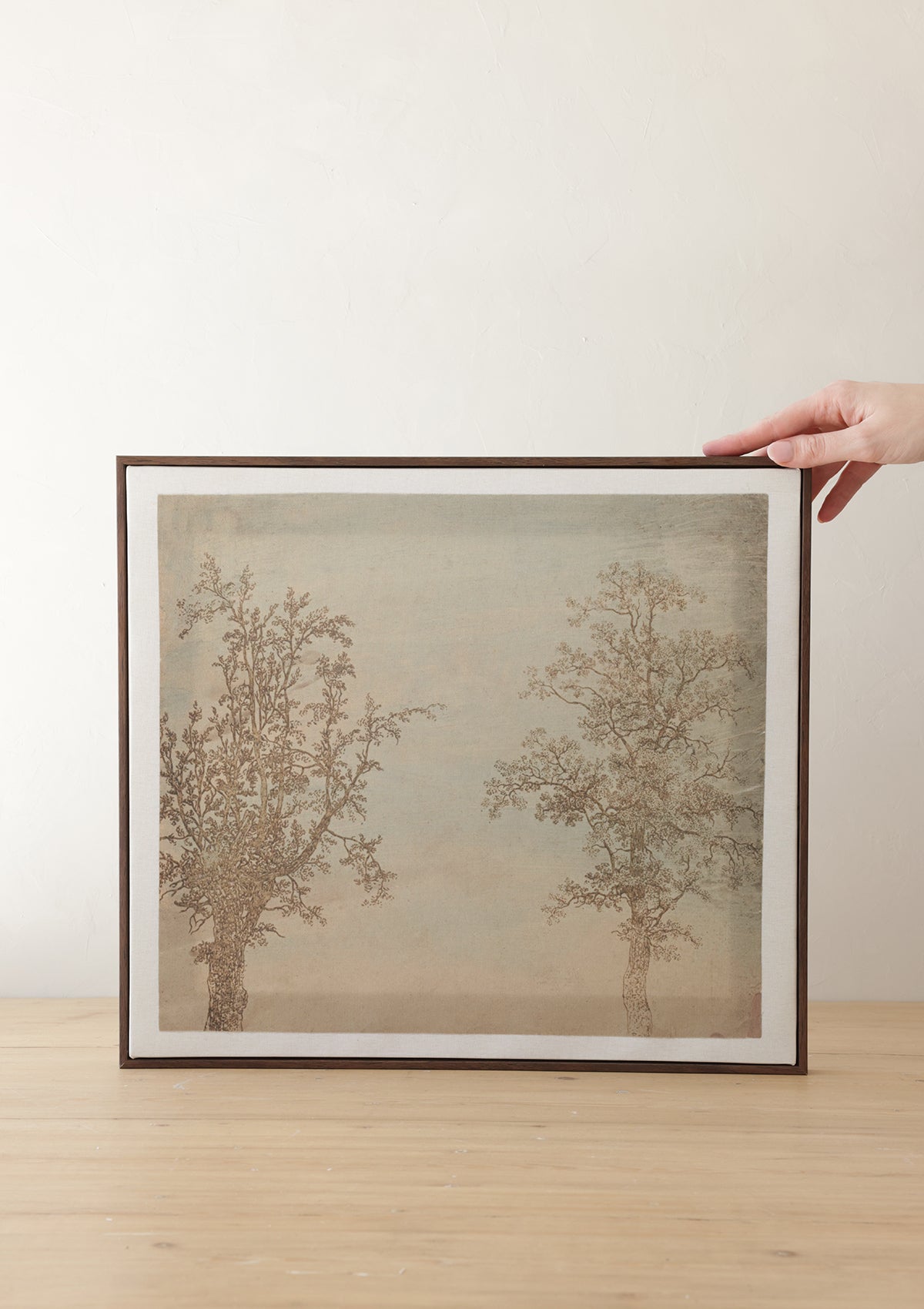 Daphne Framed Canvas