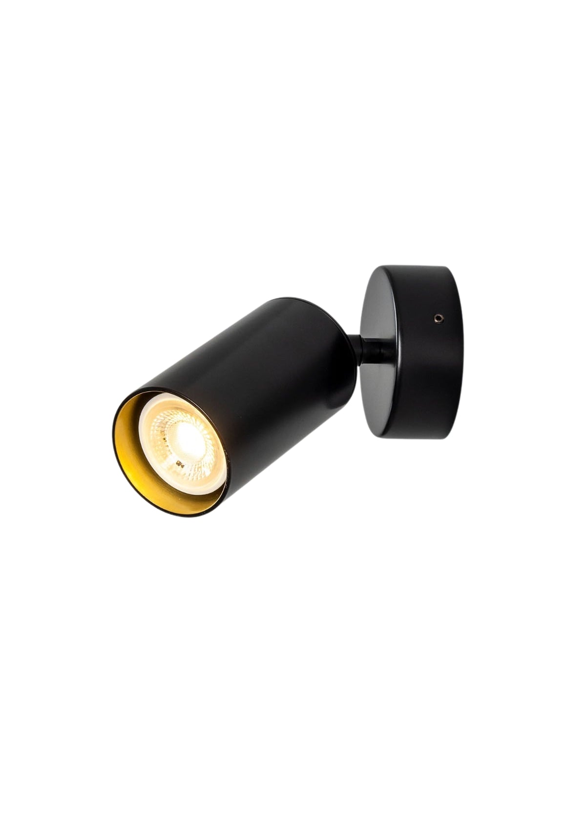 Evanston Directional Brass Wall Spotlight
