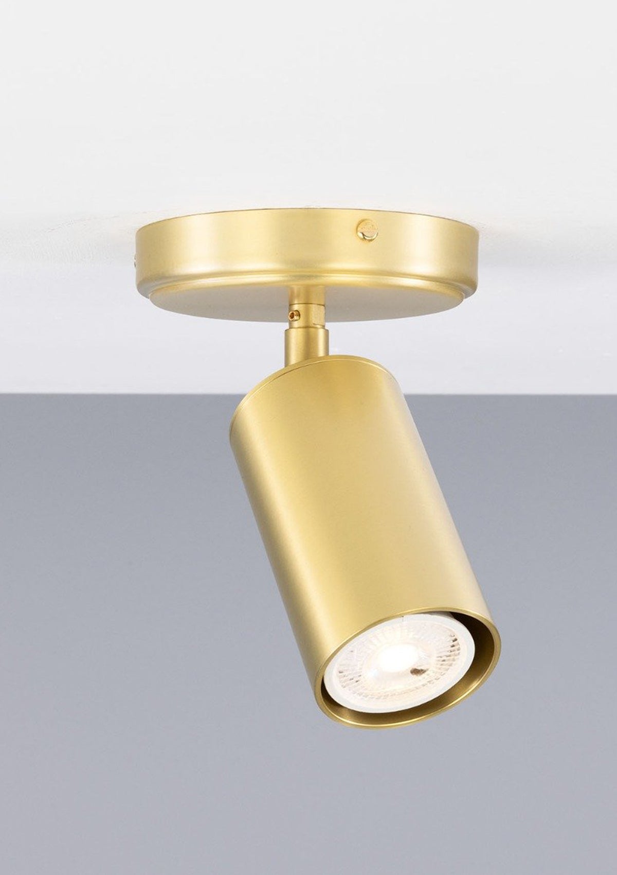 Evanston Brass Ceiling Spotlight