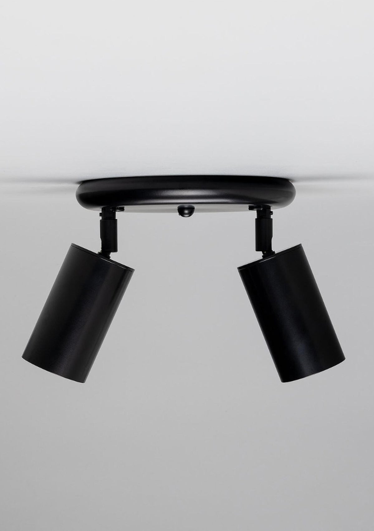 Evanston Brass Two-Light Ceiling Spotlight