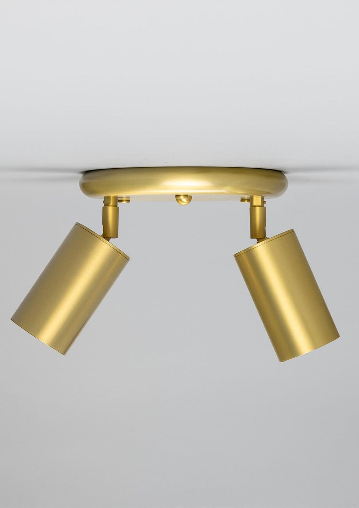 Evanston Brass Two-Light Ceiling Spotlight