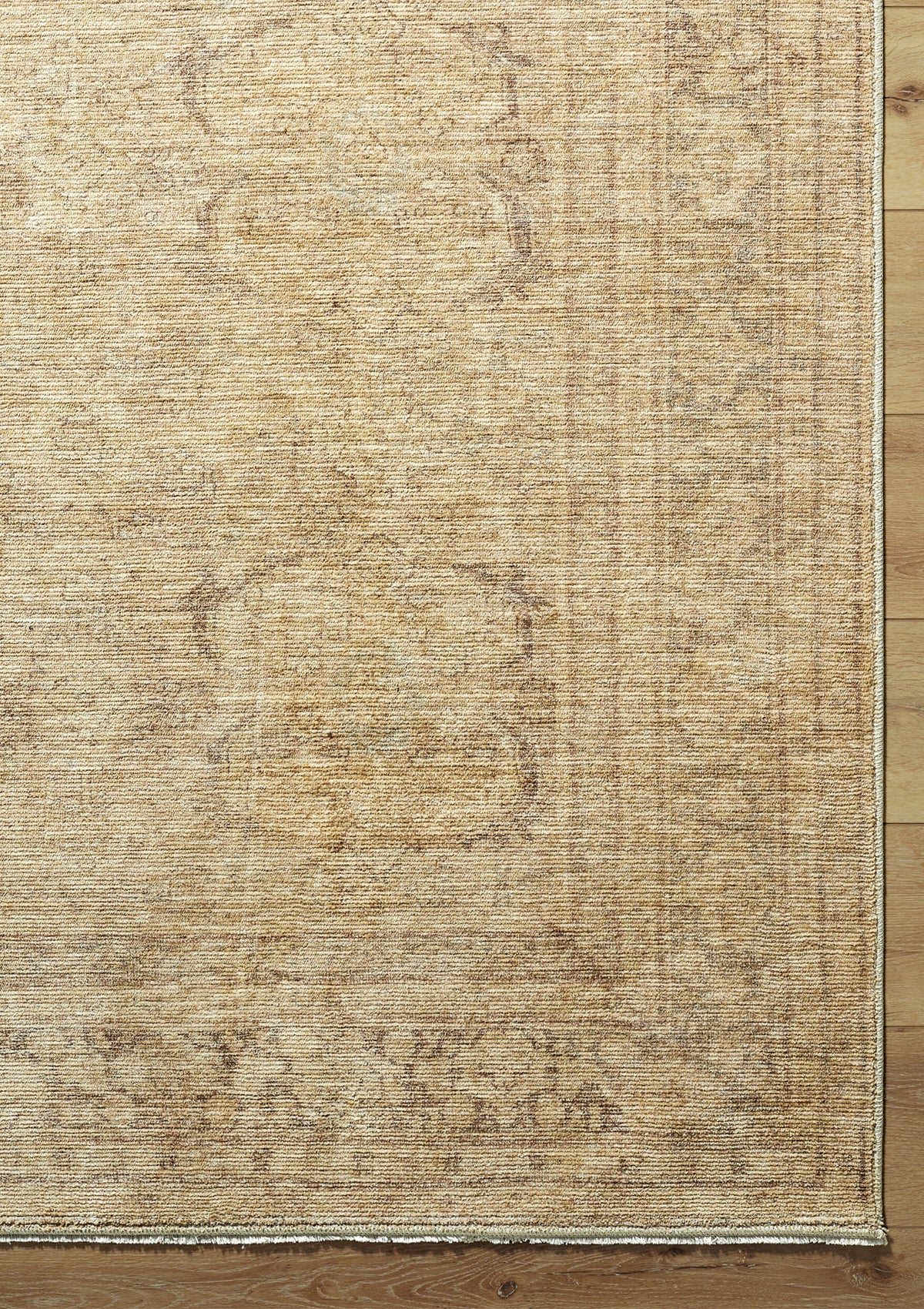 Friena Rug