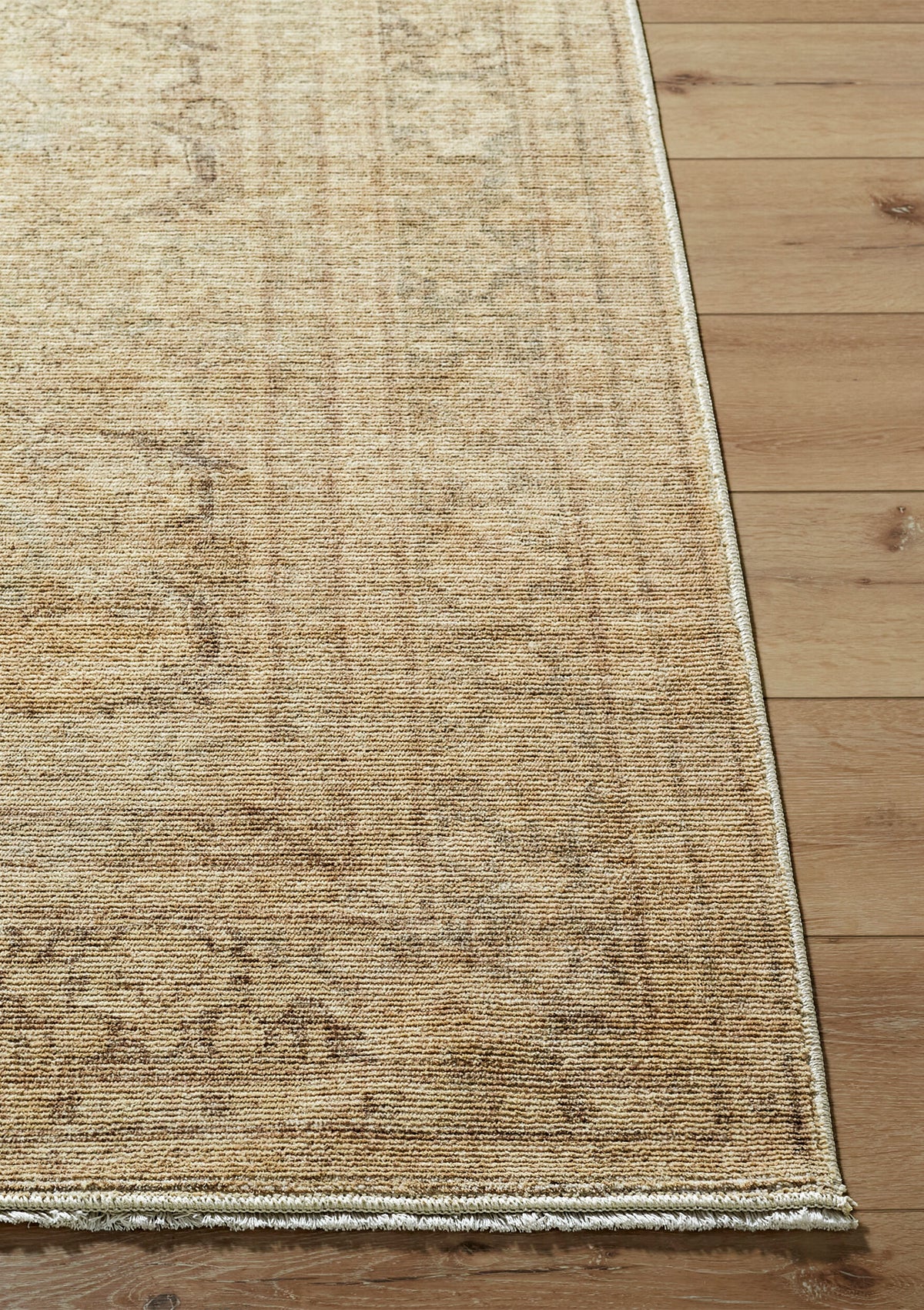 Friena Rug