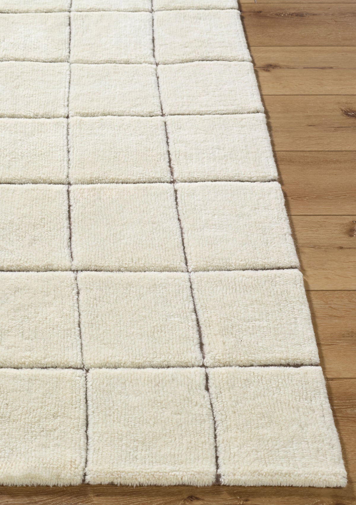 Hemsley Machine Washable Rug