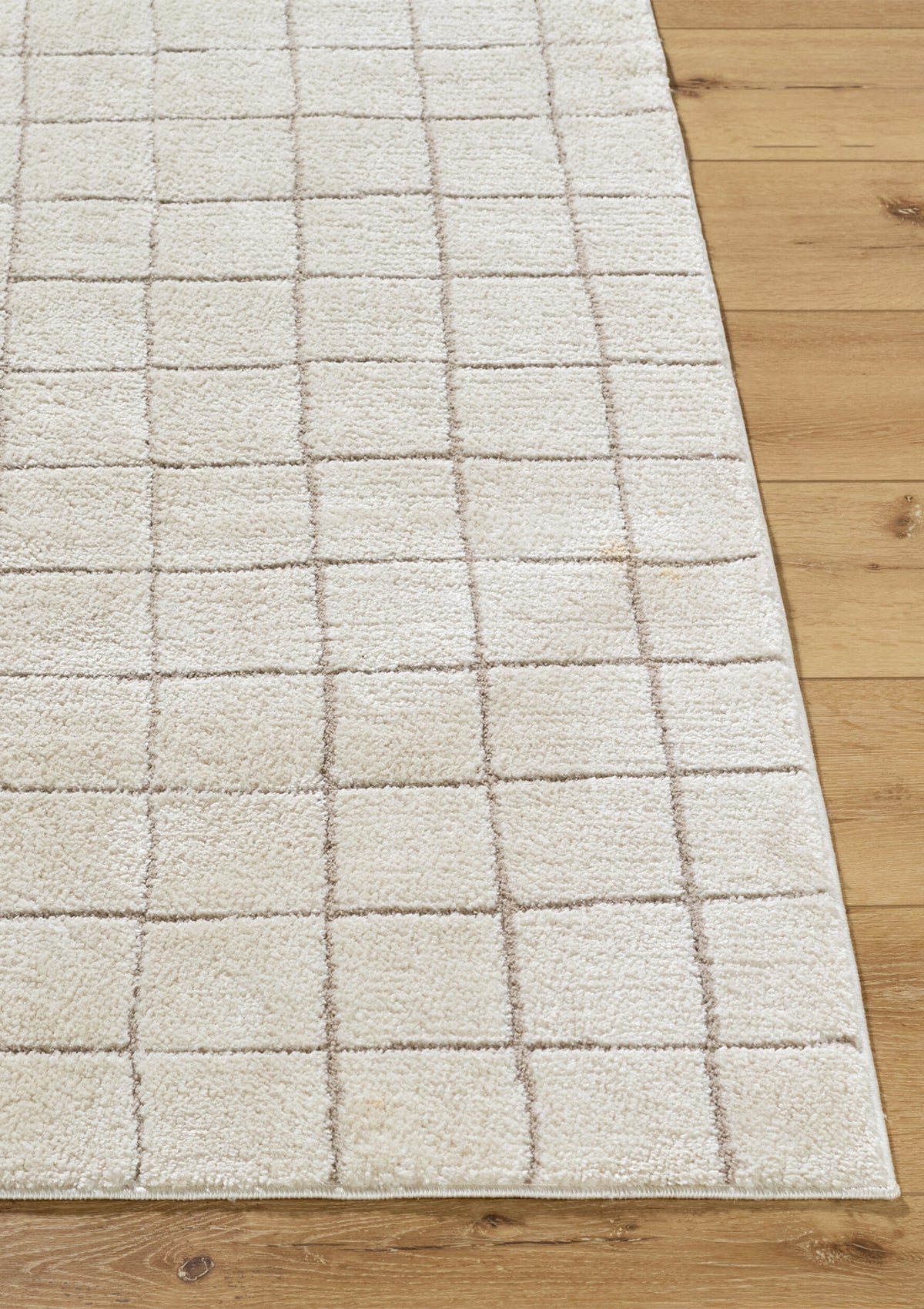 Nolyn Rug