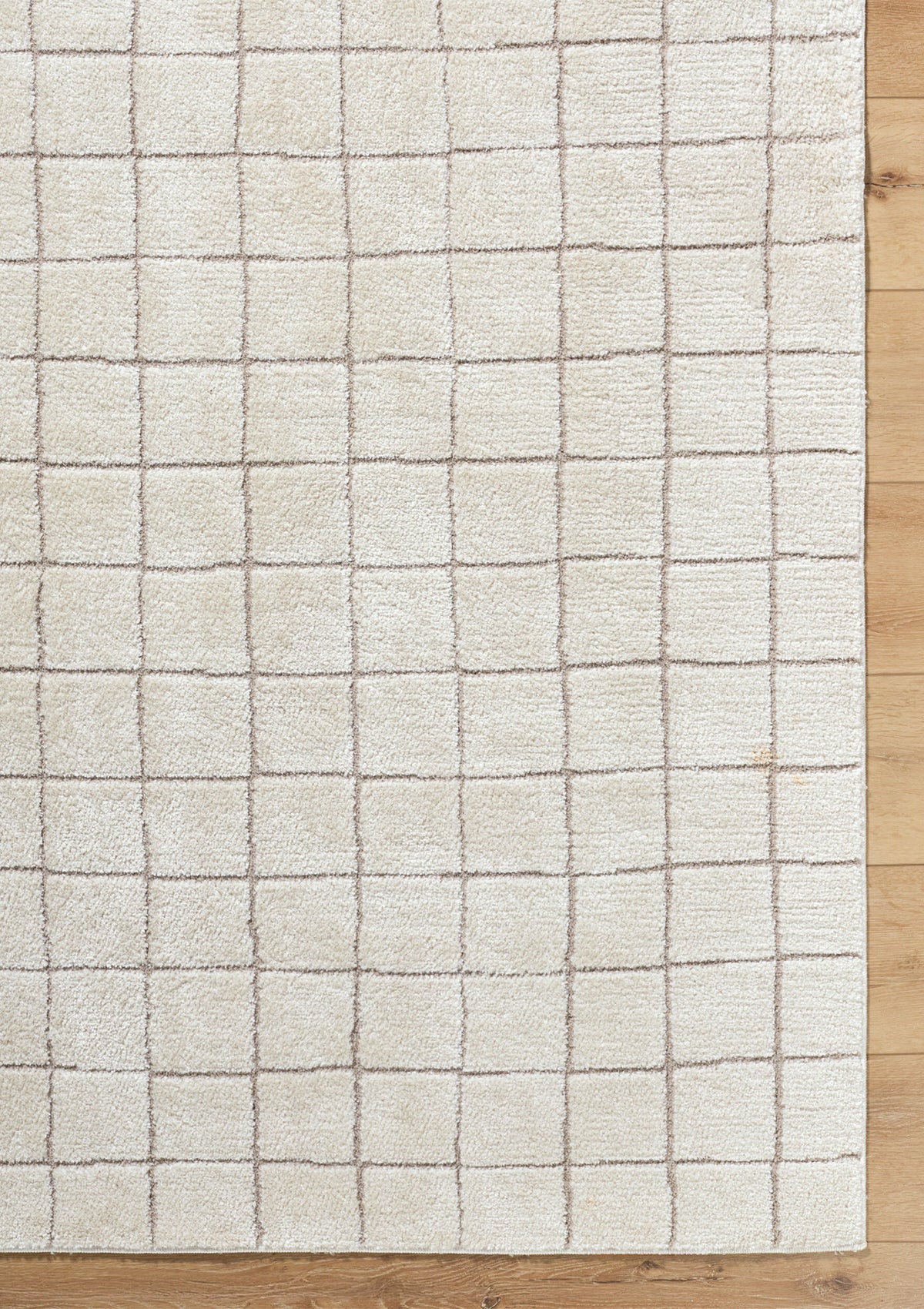 Nolyn Rug