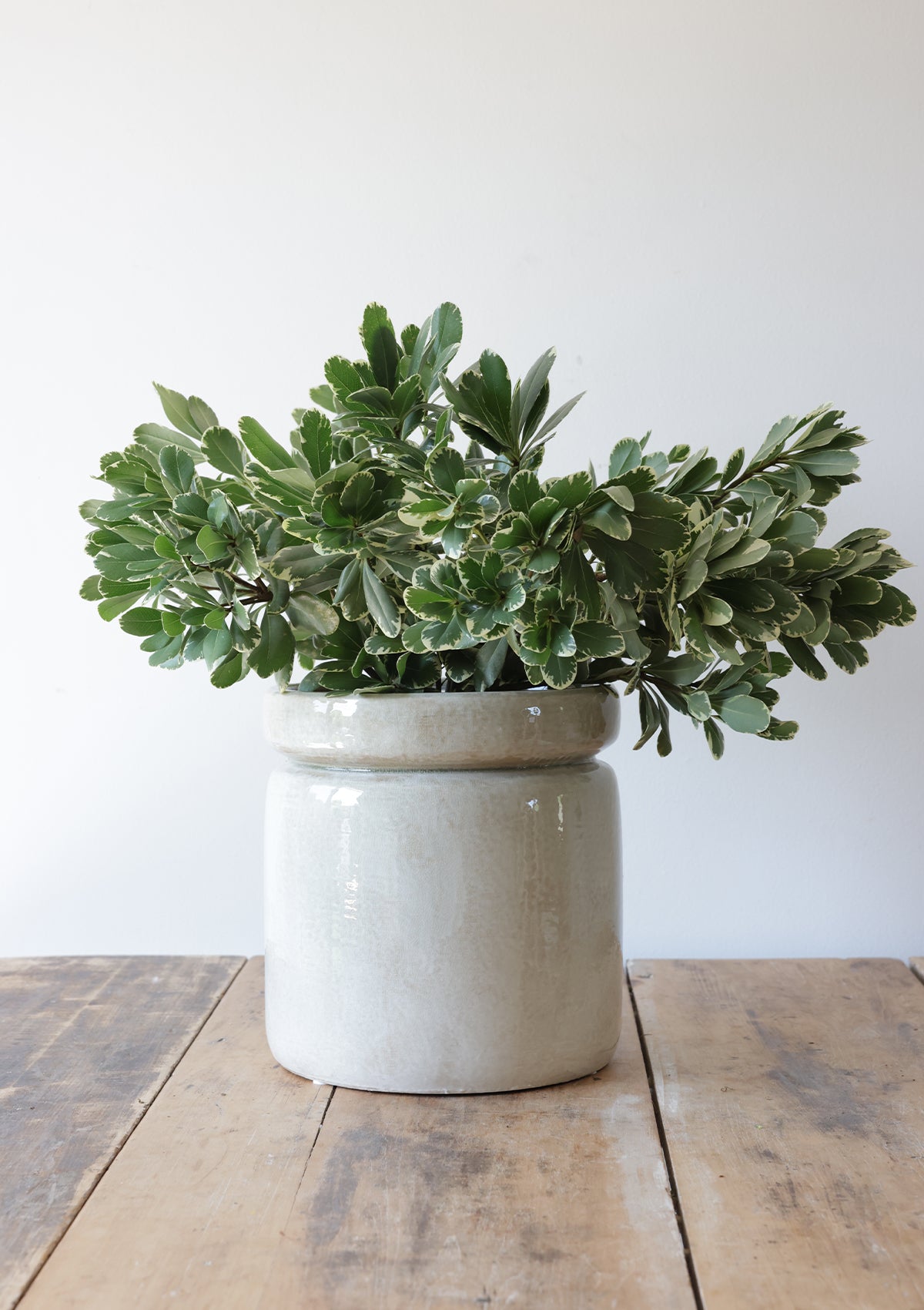Oriana Glazed Pot
