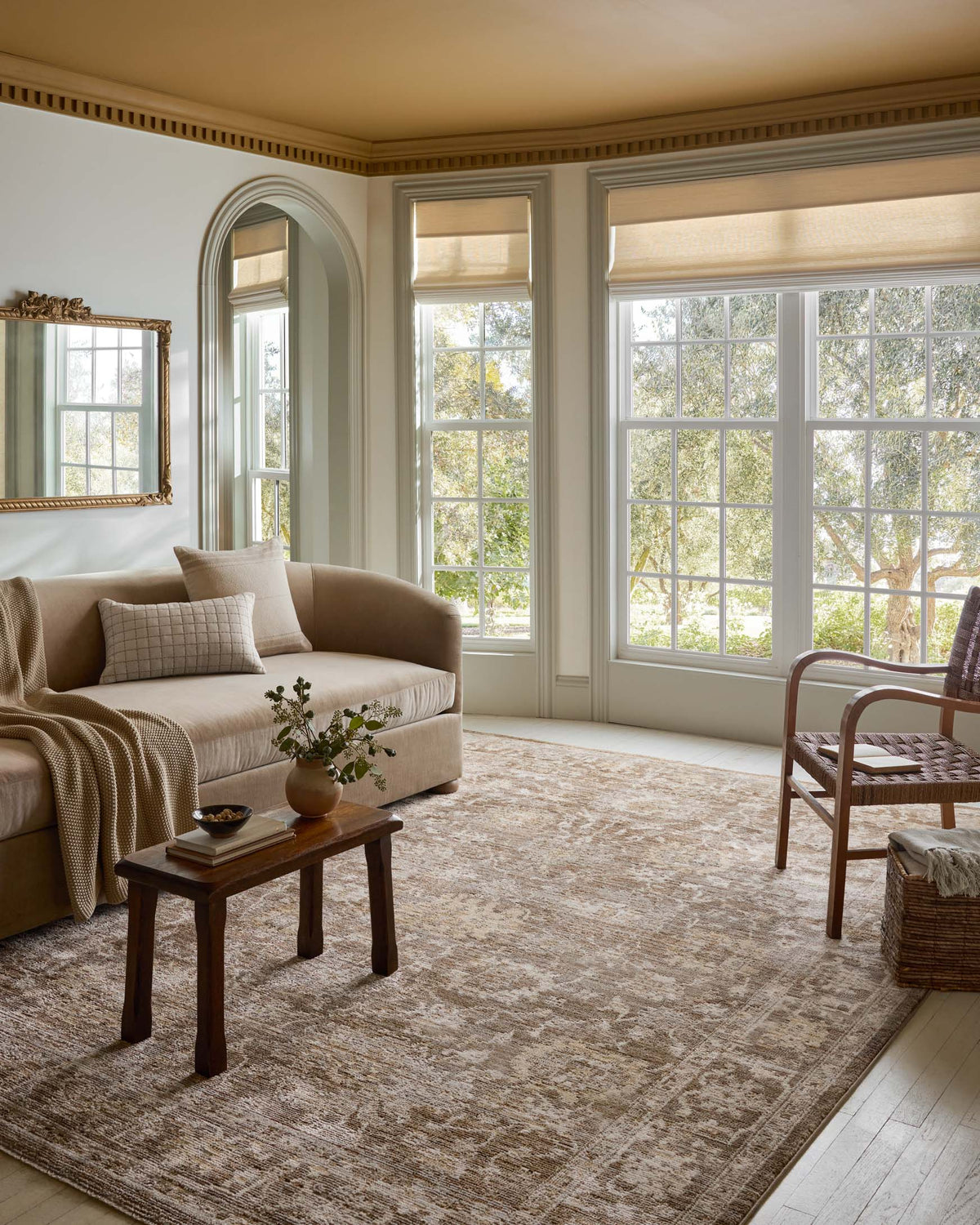 Pace Bark/Natural Rug – room scene