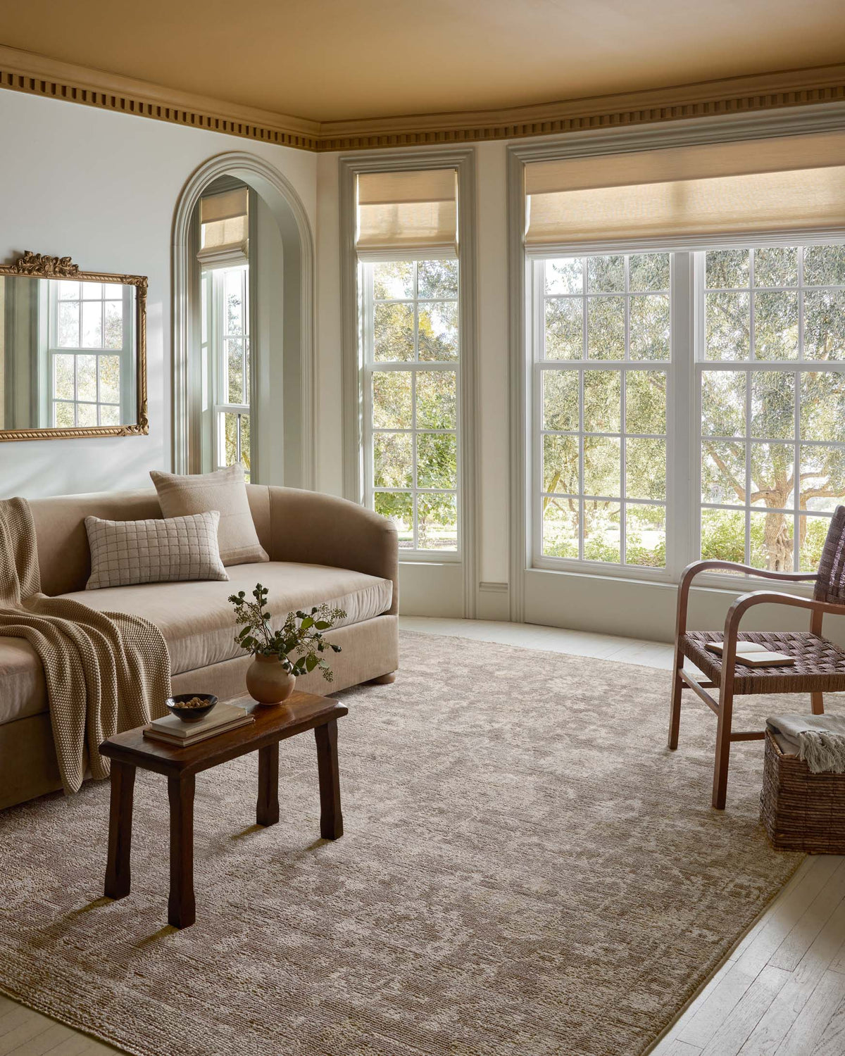 Pace Taupe/Wheat Rug – room scene