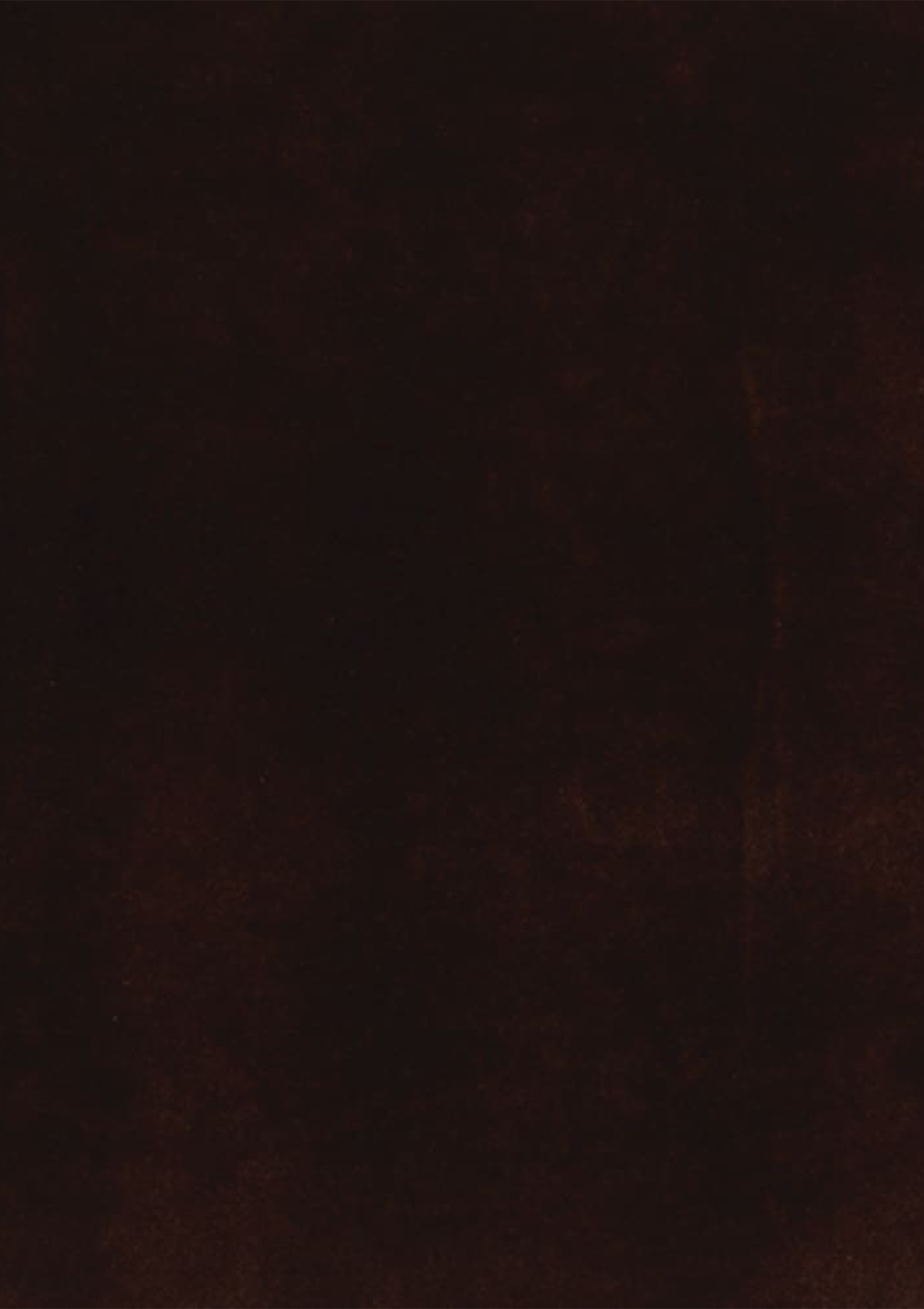 Raisin Velvet Fabric