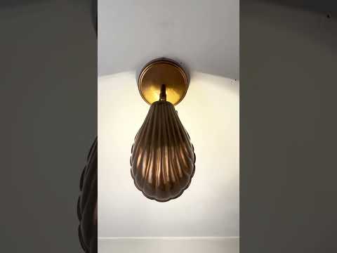 Shell Adjustable Brass Wall Sconce