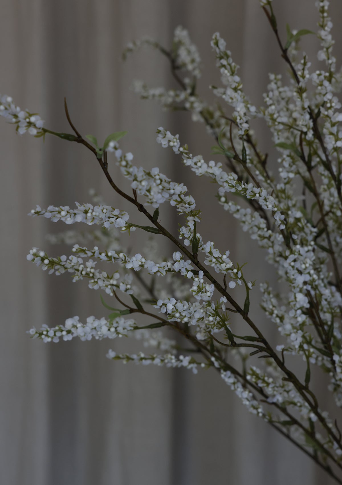 Spirea Spray