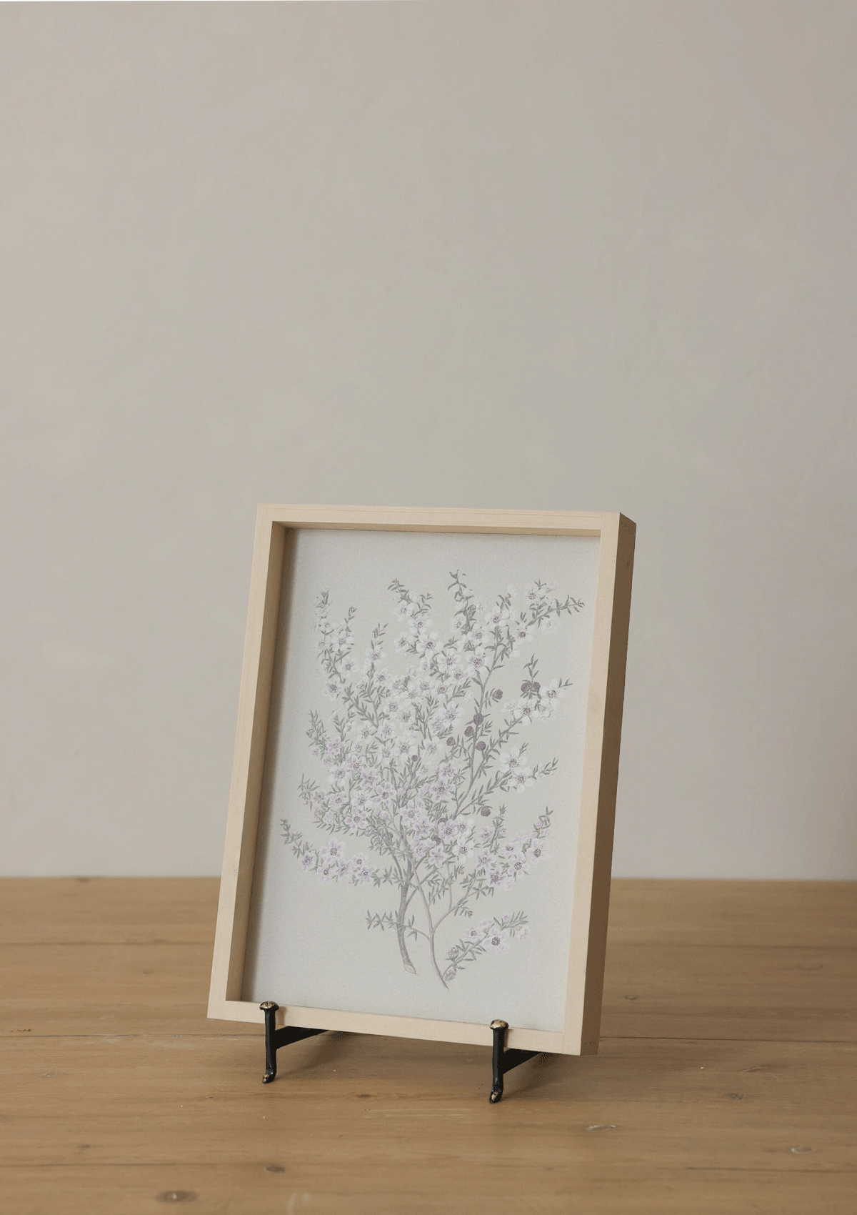 Vintage Flower Drawing Framed Print