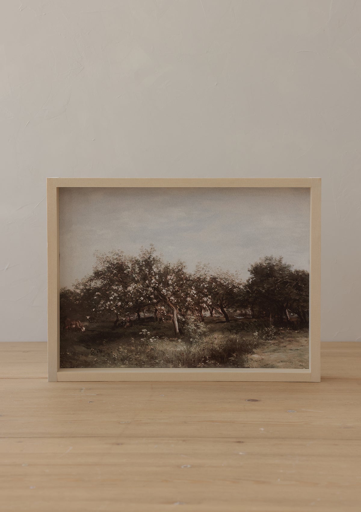 Vintage Apple Orchard Framed Print