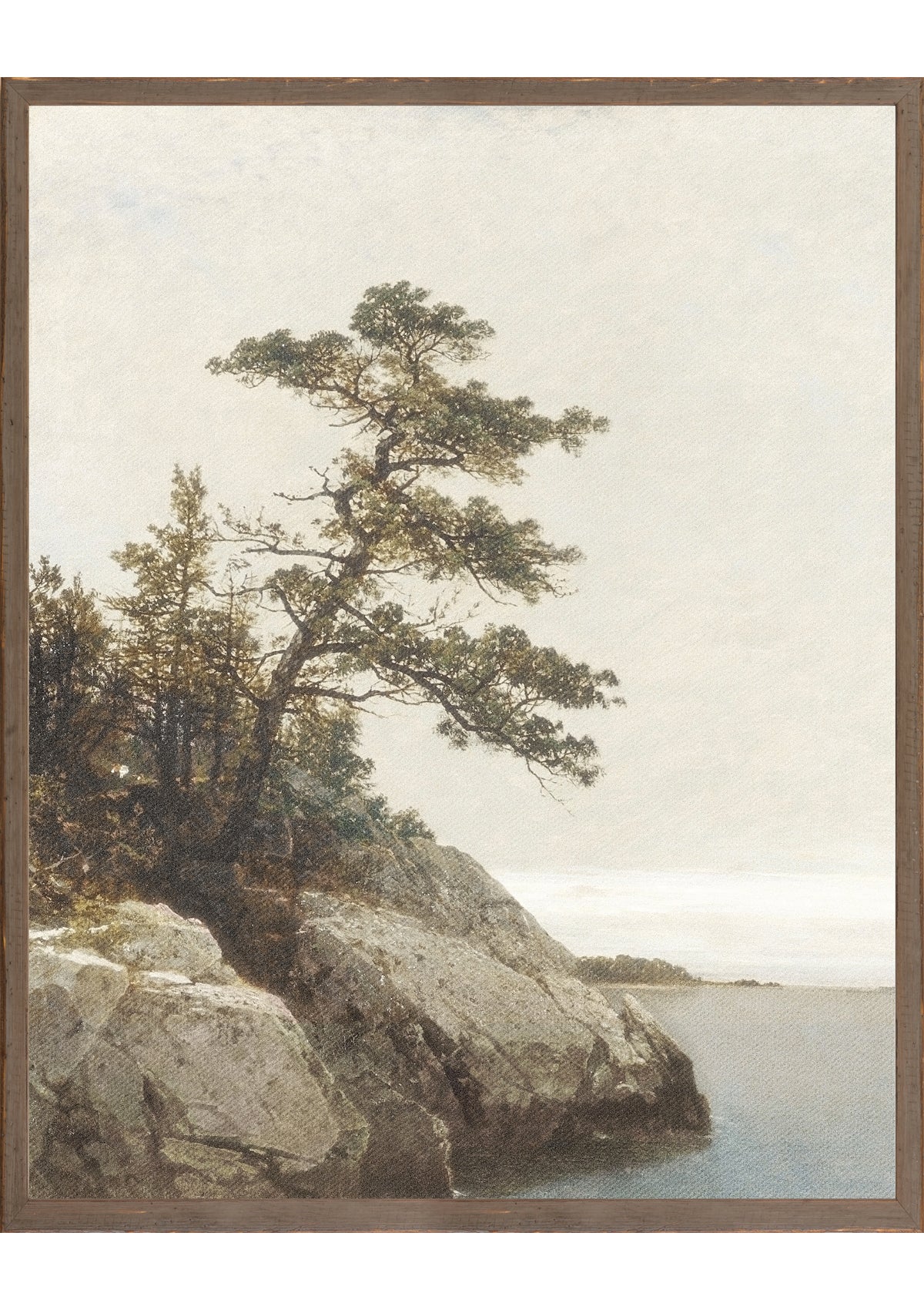 Vintage Northern Pine