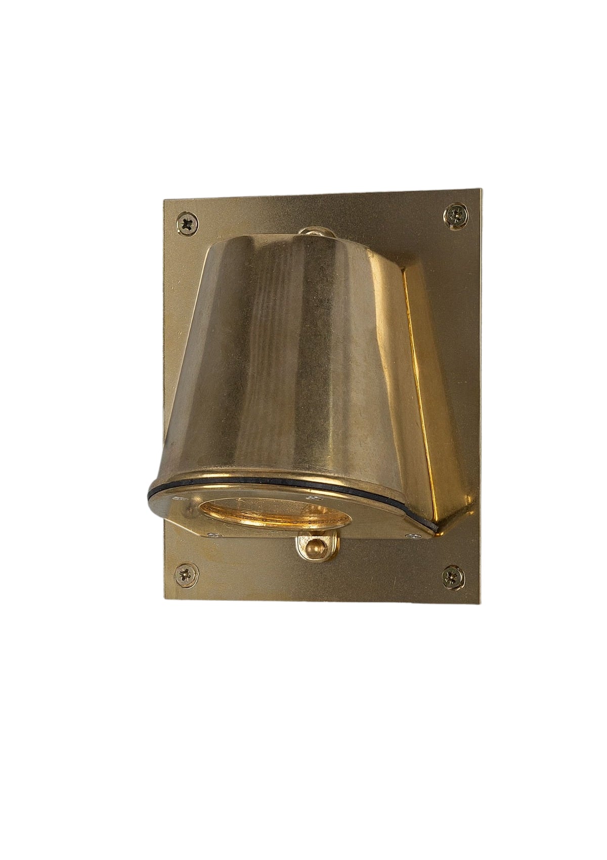 Wade Outdoor Brass Spotlight with Back Plate – Raw Brass