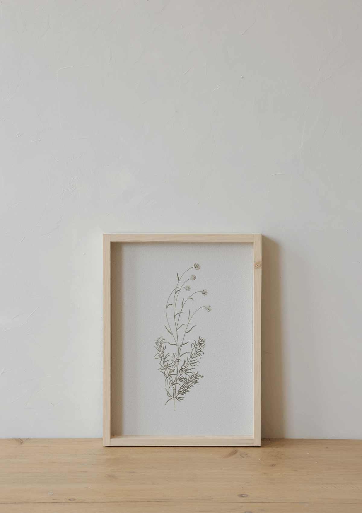 Botanical Flower Framed Print