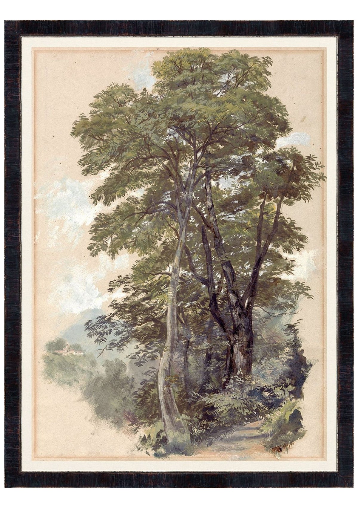 Collection Vintage – Corpo Di Cava, 1839 – Large