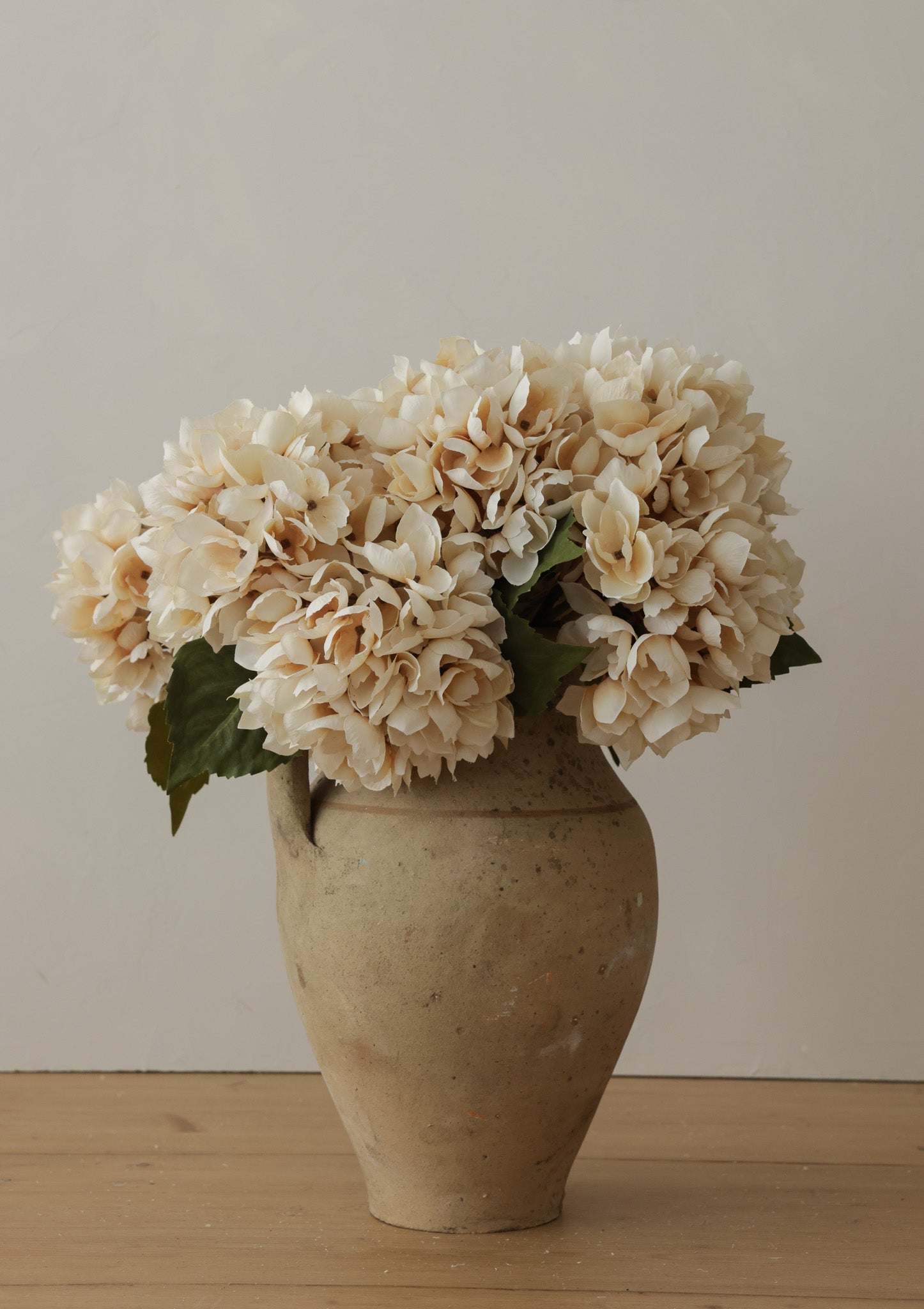 Morning Mist Hydrangea Stem