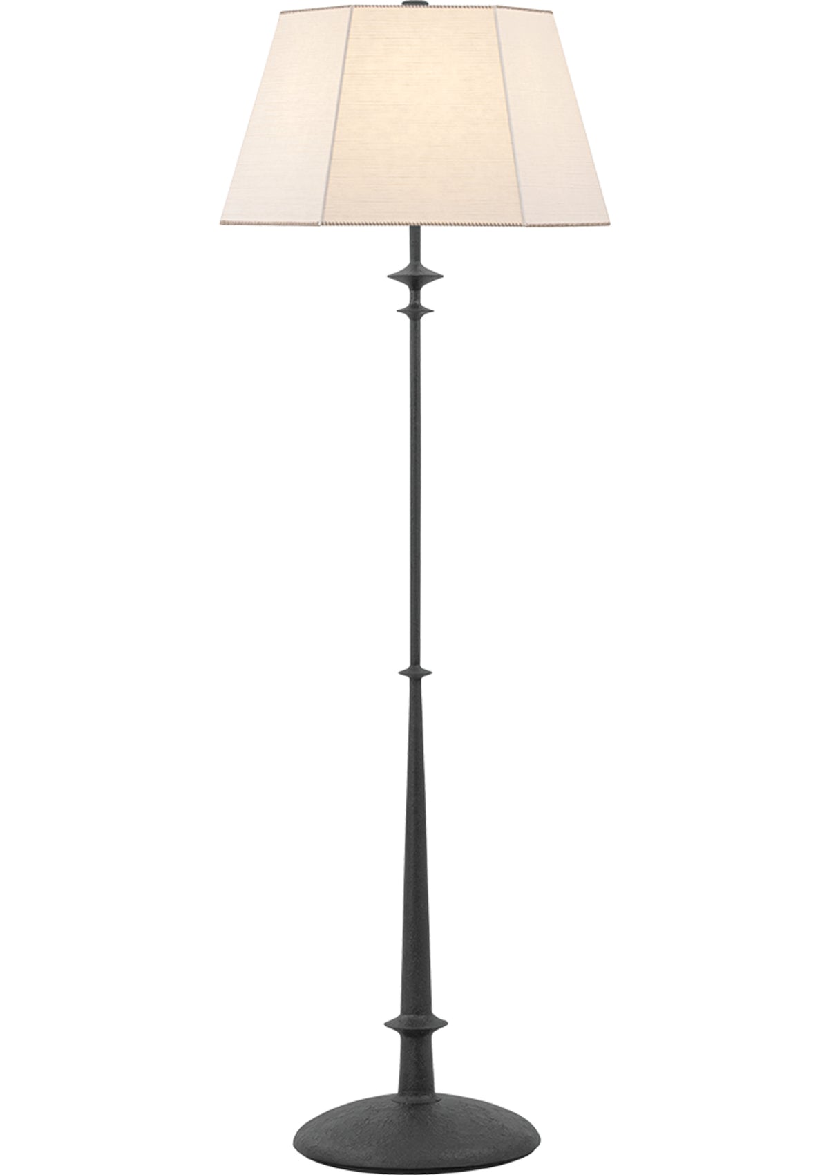 Celmins Floor Lamp in Black Iron