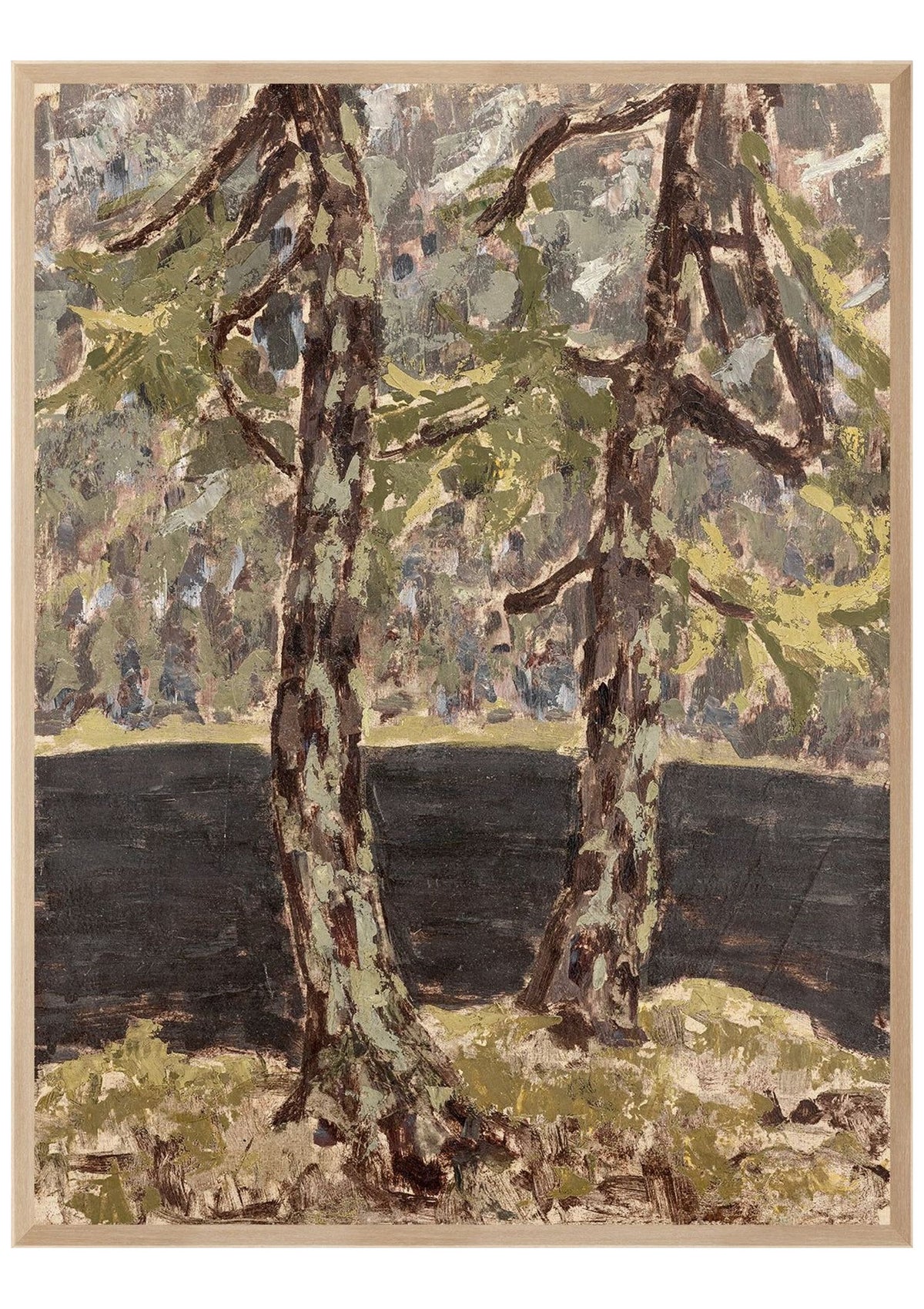 Larch Trees C. 1914 – Large