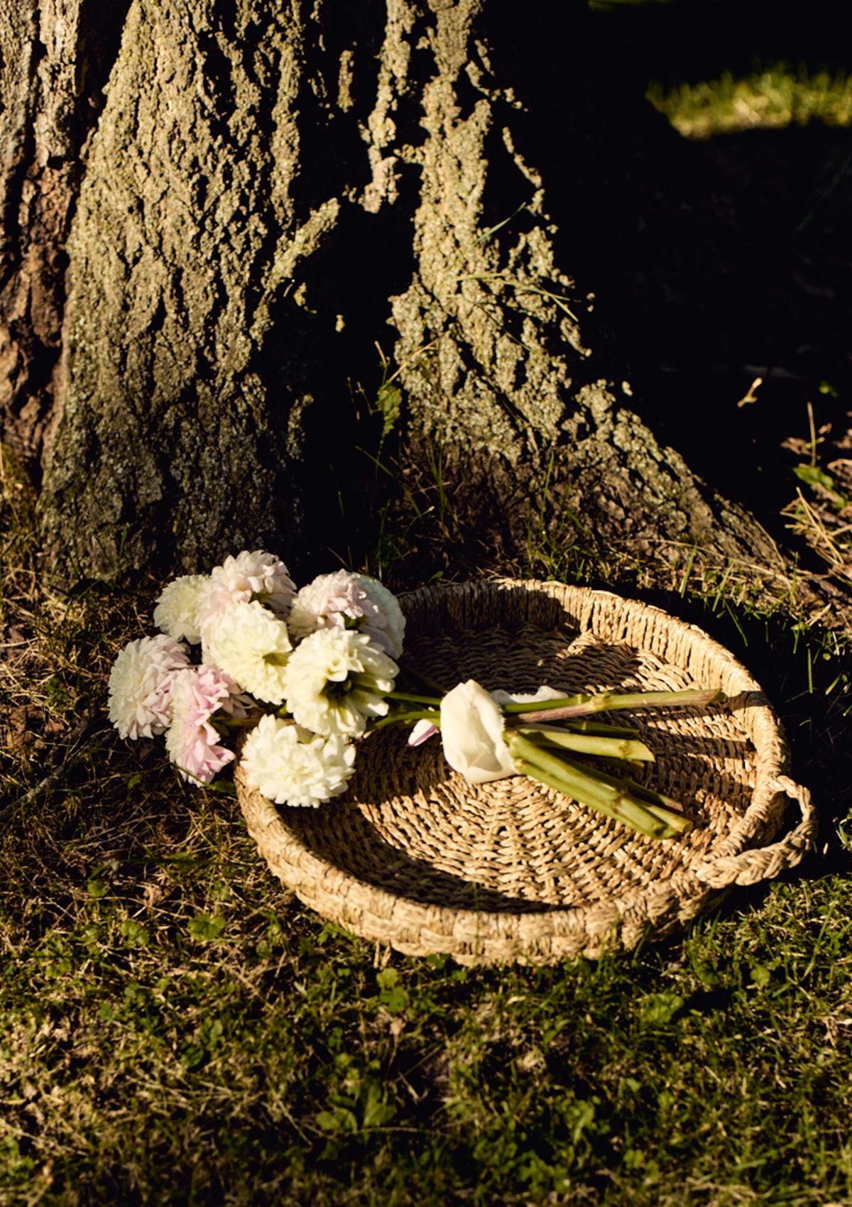 Seagrass Tray