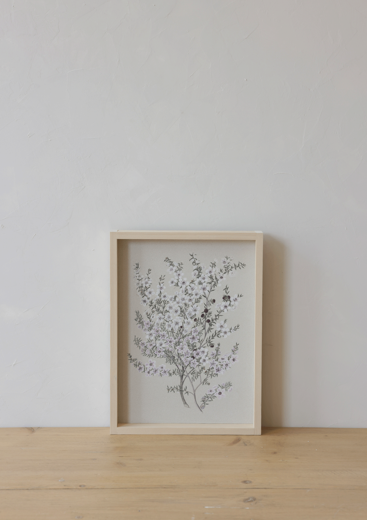 Vintage Flower Drawing Framed Print