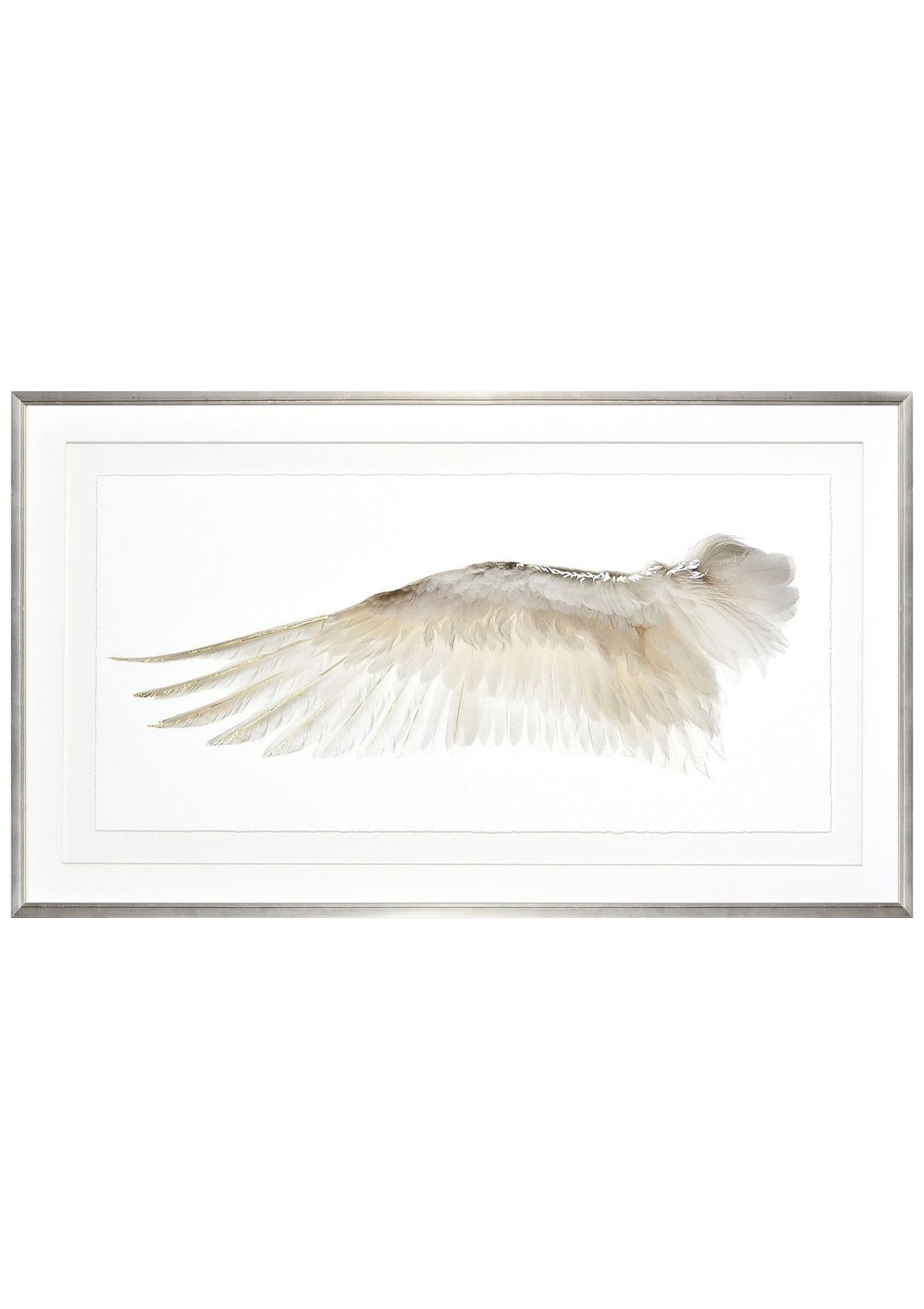 Wings Of A Feather I – Gild Gold