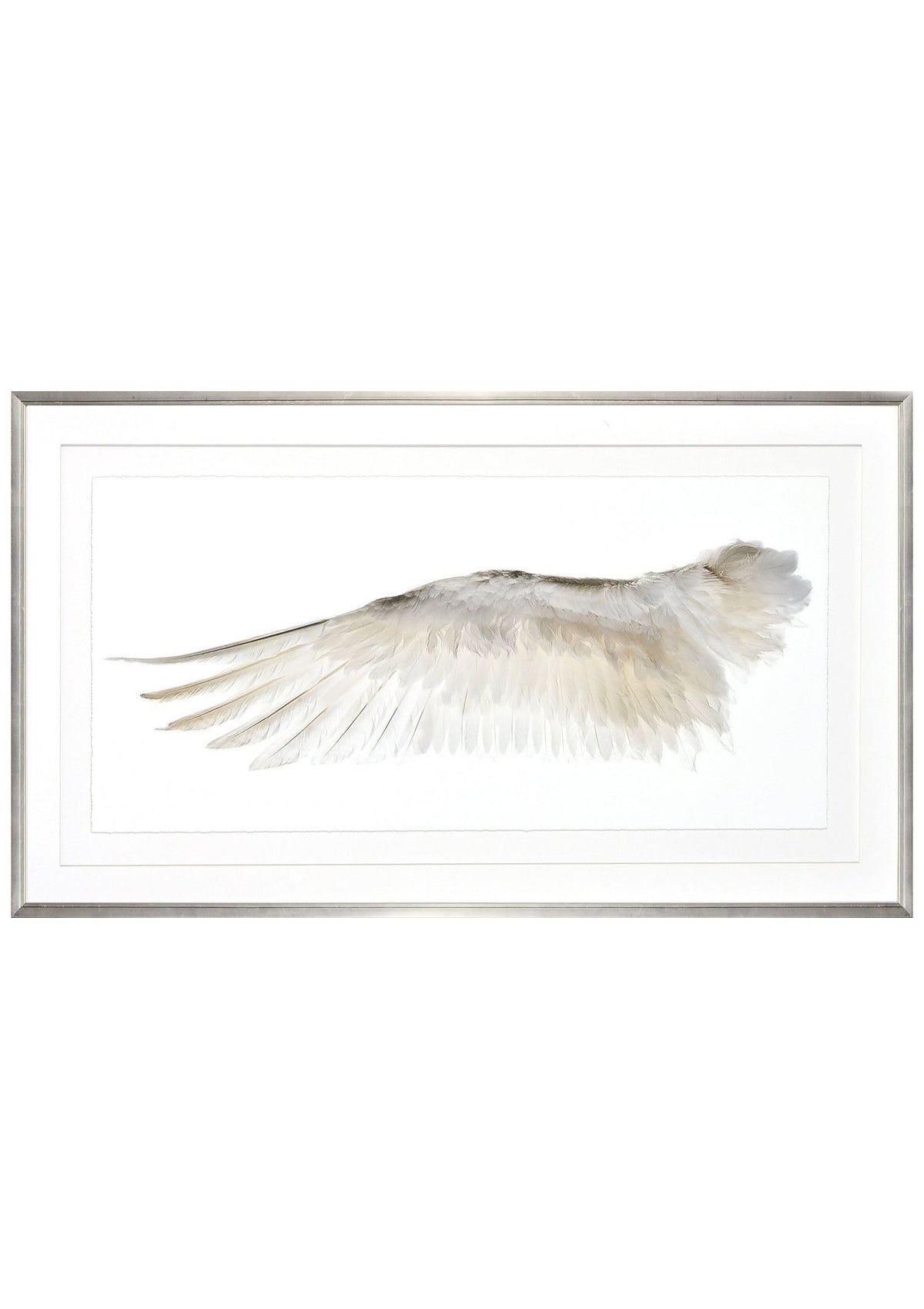 Wings Of A Feather I – None