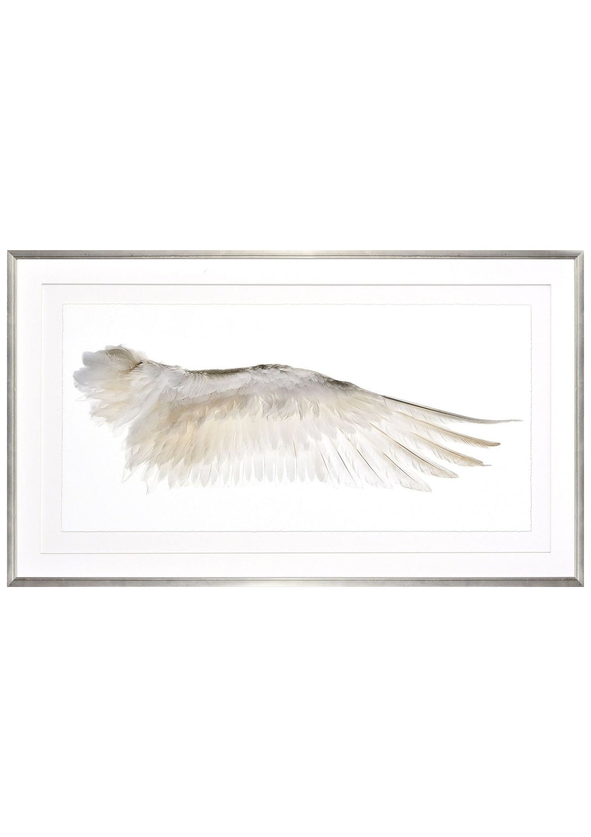Wings Of A Feather II – None