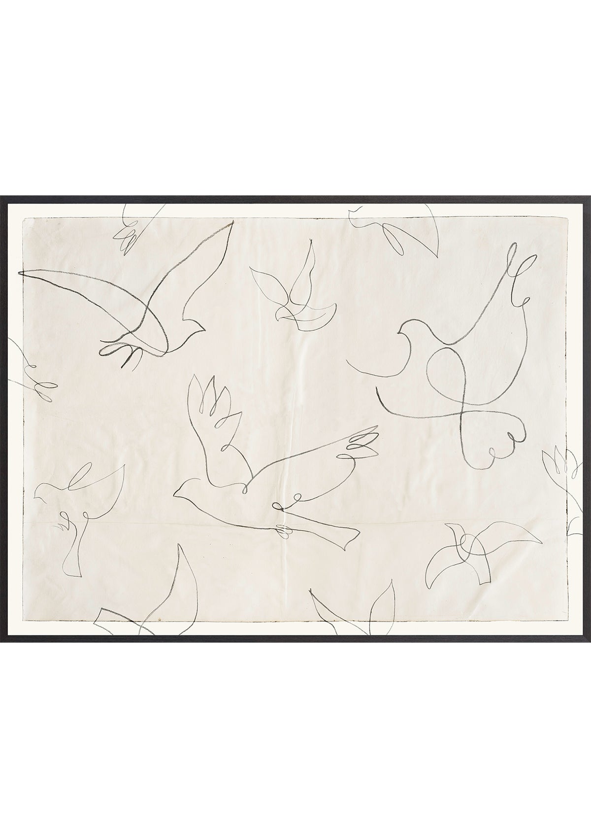 Birds in Flight