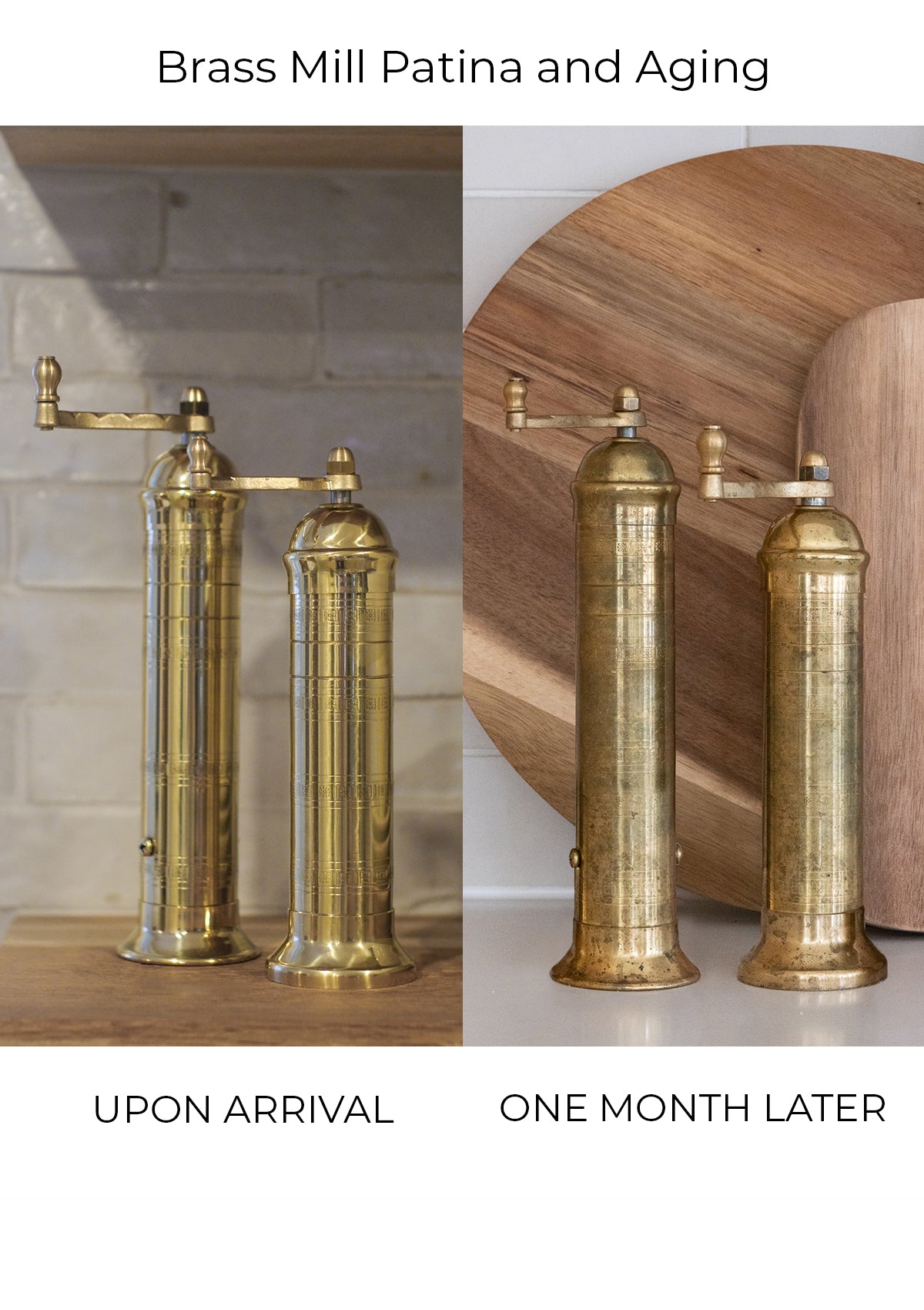Brass Salt Mill 8" - Handcrafted in Europe
