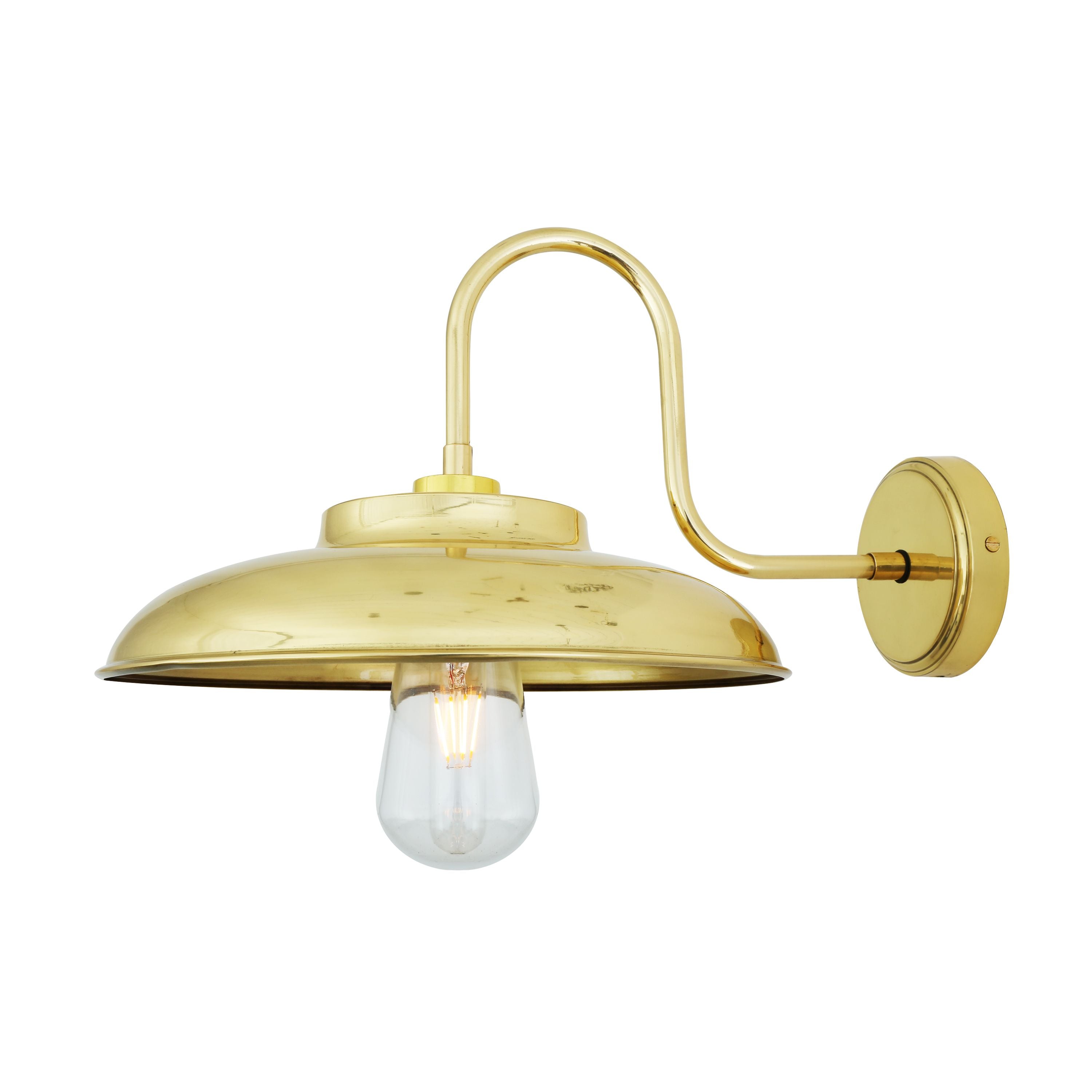 Darya Swan Neck Bathroom Wall Sconce