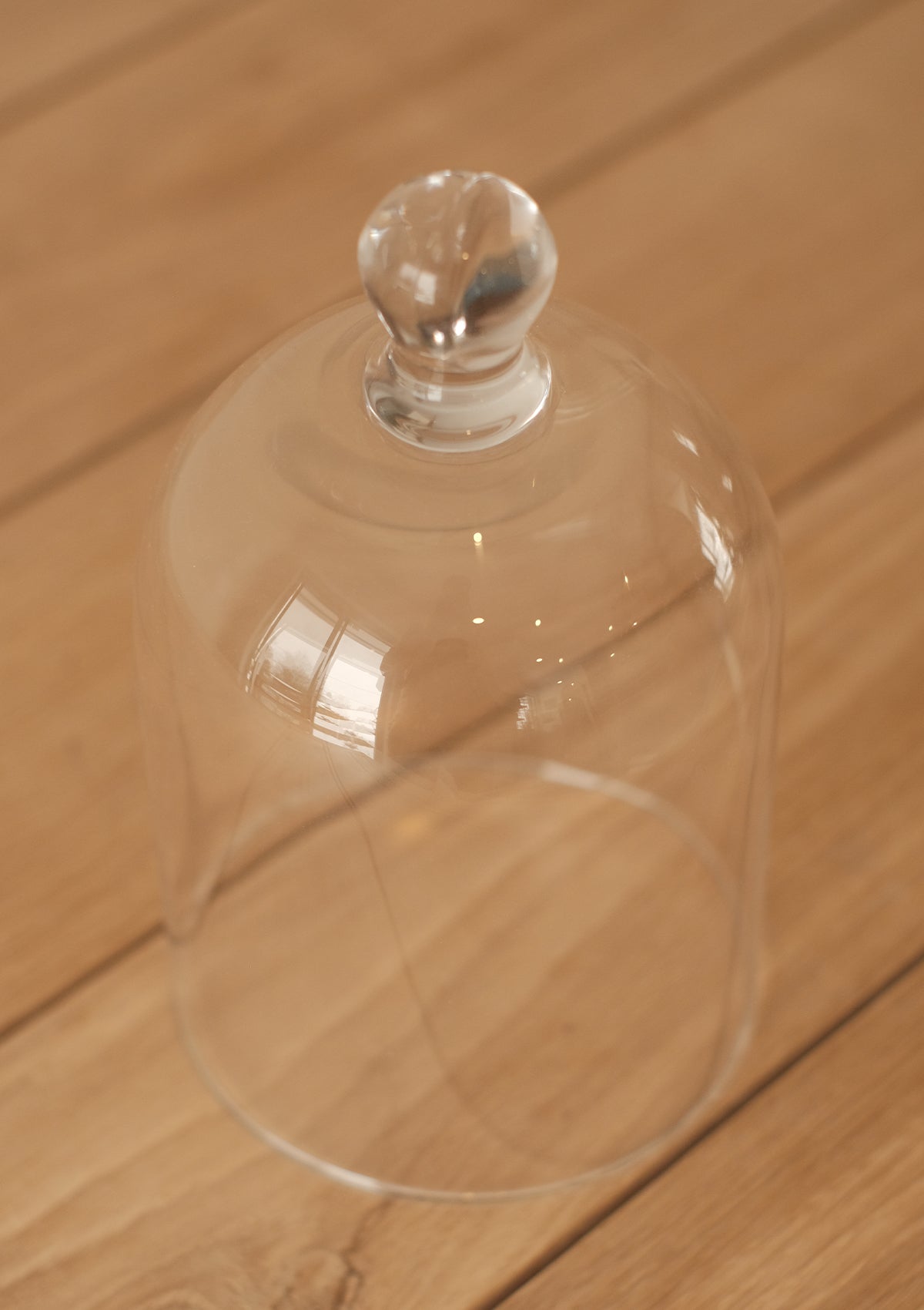 Kilo Glass Cloche