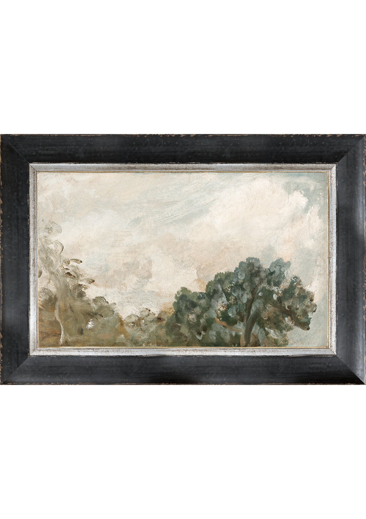 Serene Treetops