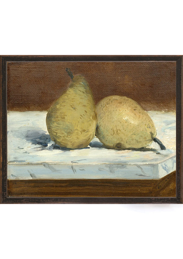 Vintage Pear Study