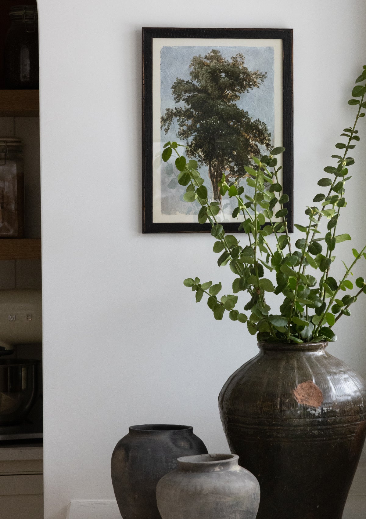 Sassafras Vintage Tree