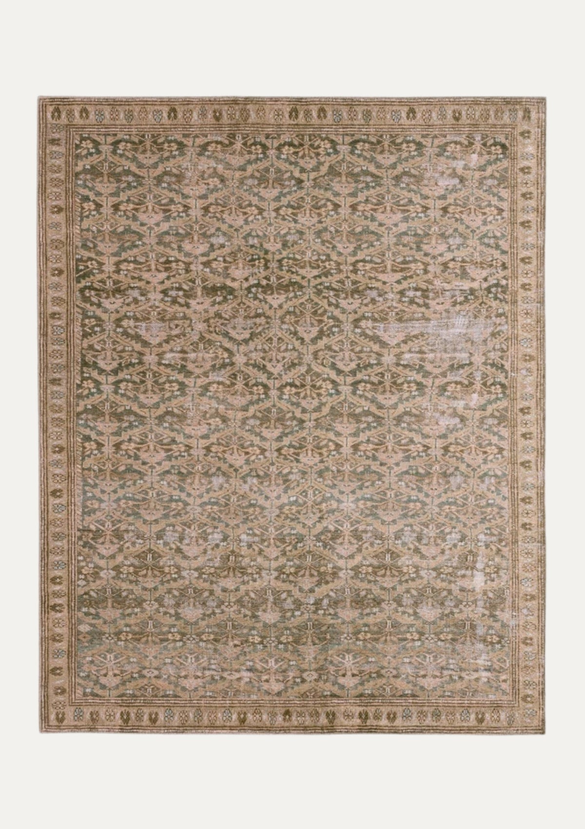 Garcia Arjoel Rug