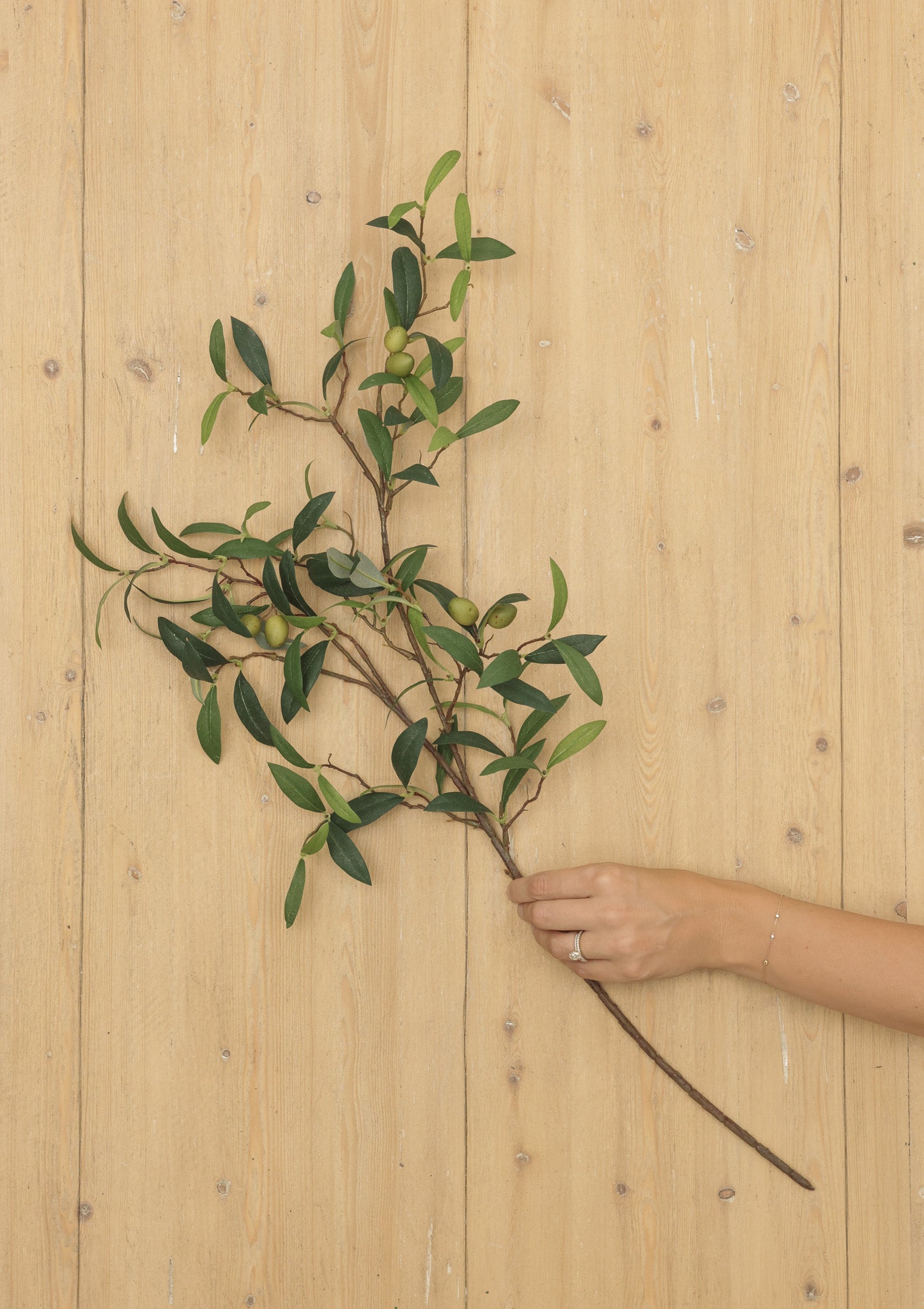 30" Olive Spray
