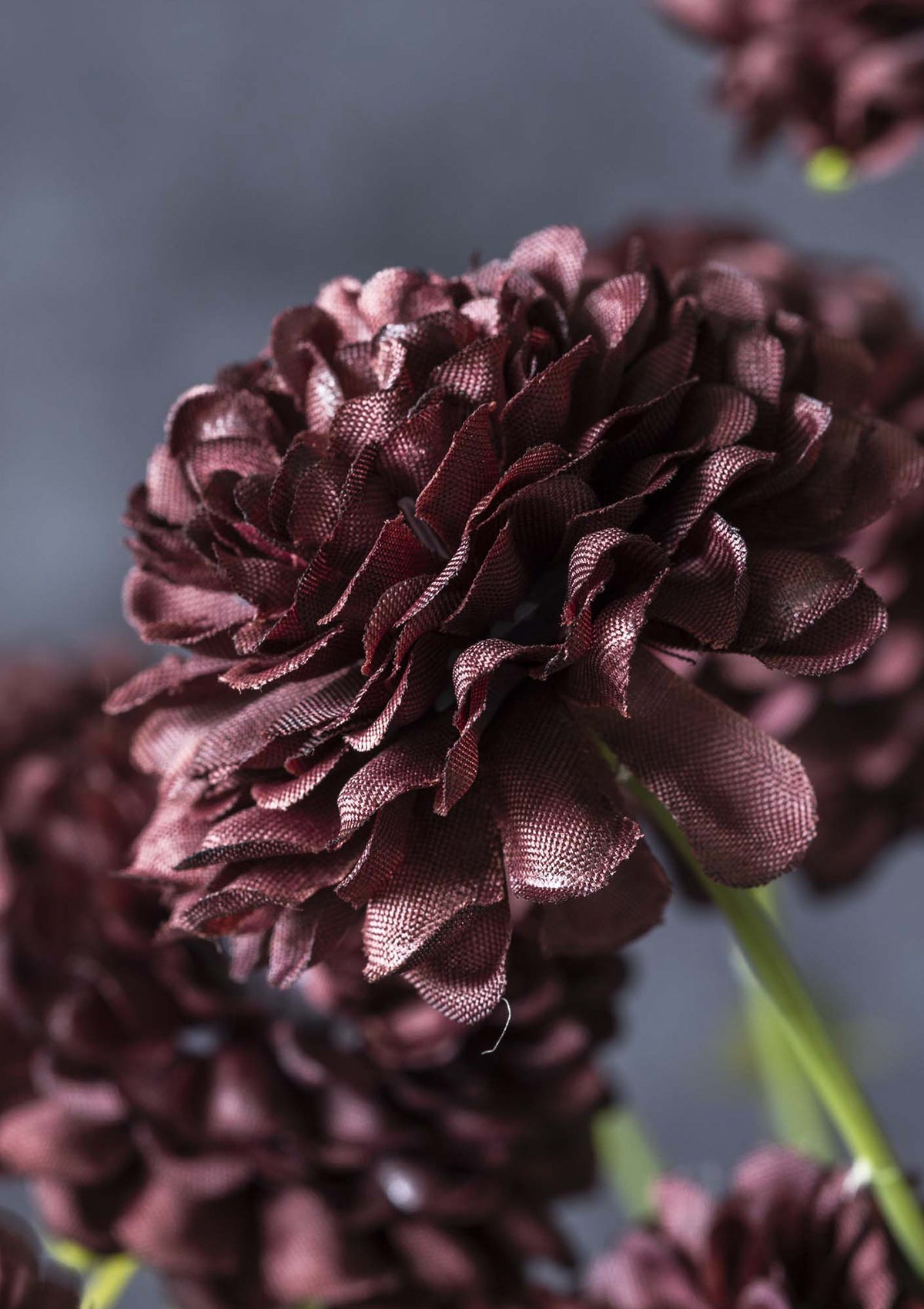 Artificial Clove Stem