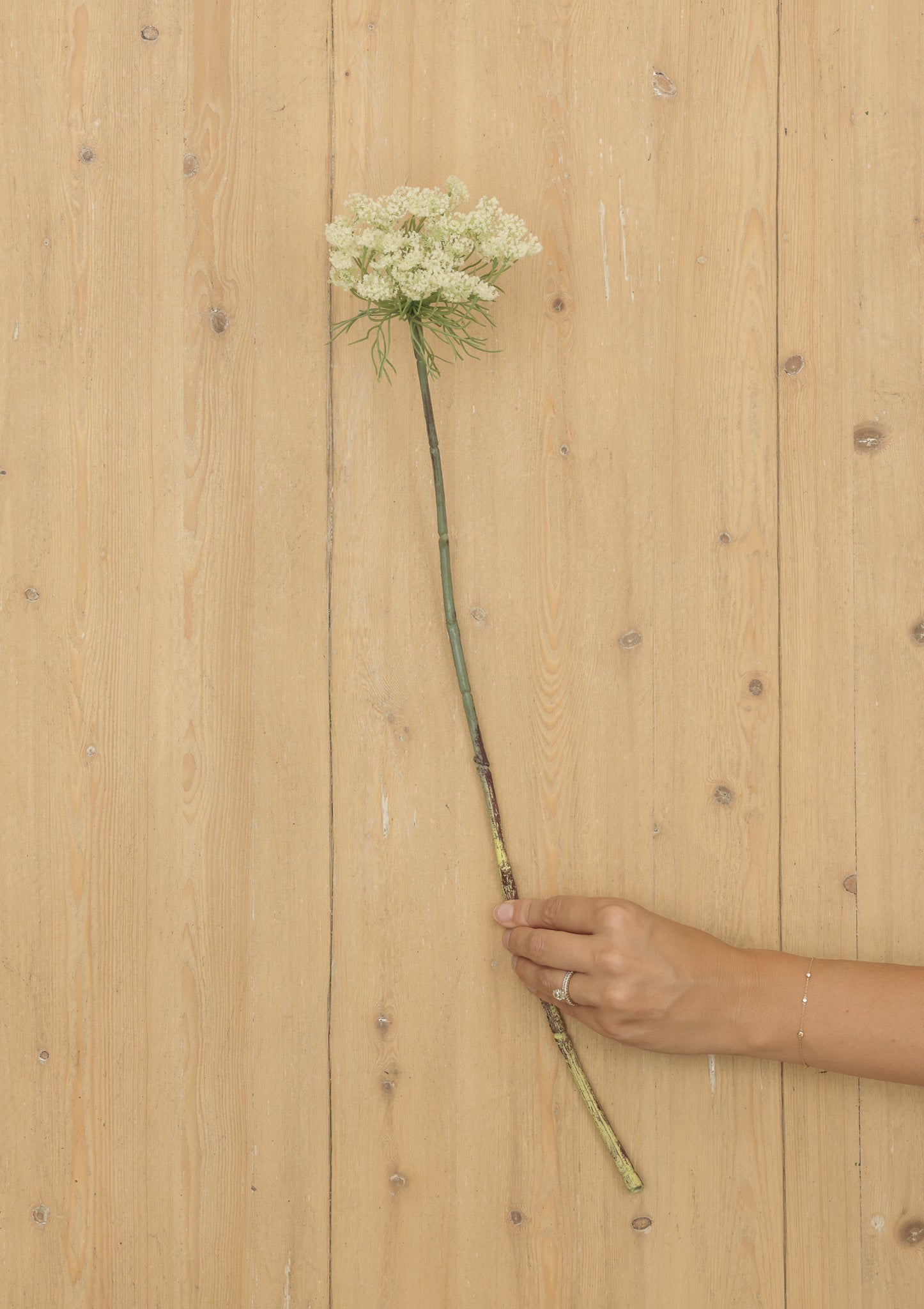 23" Queen Anne's Lace Spray