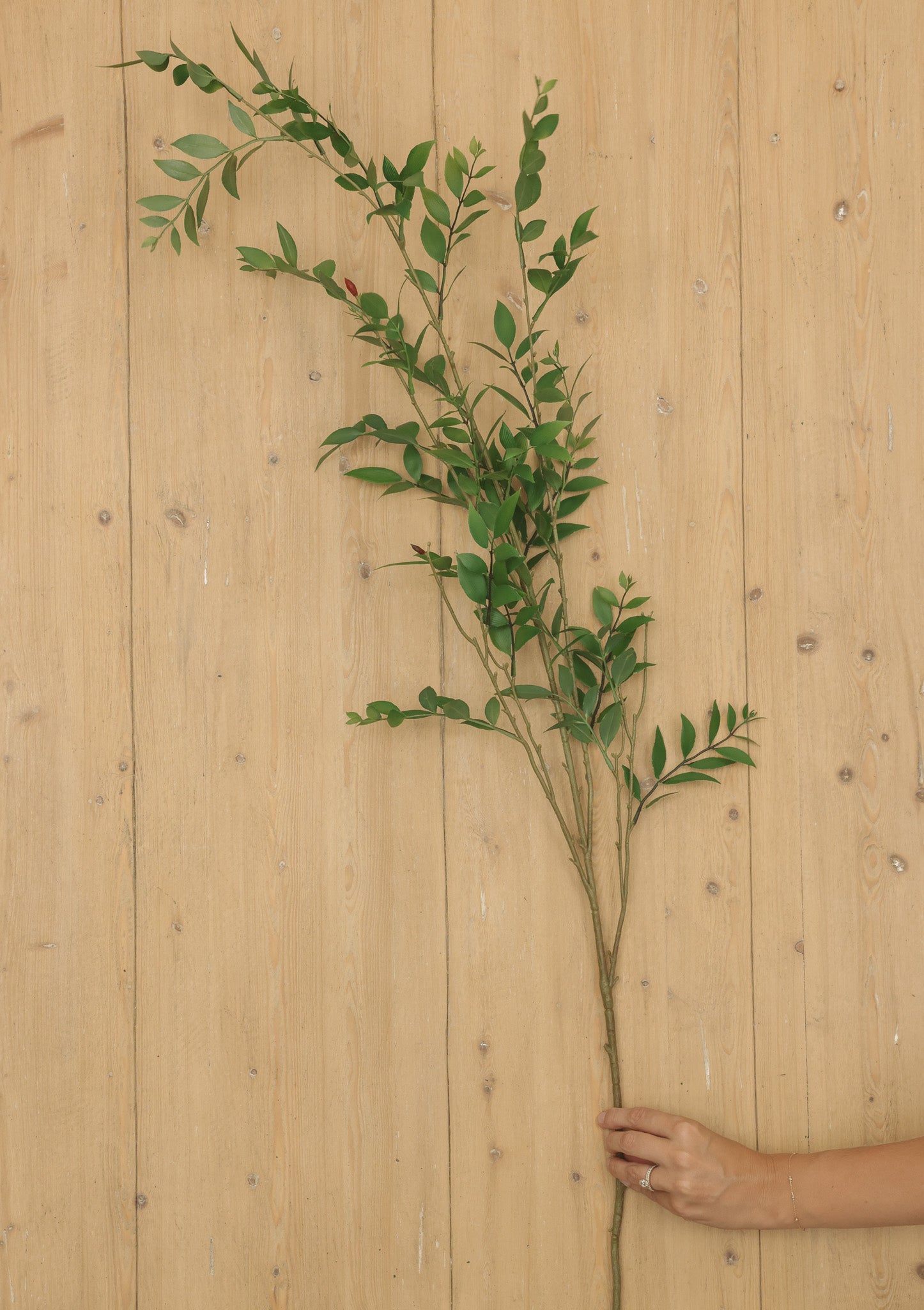 Artificial Broadleaf Podocarpus Leaf Branch